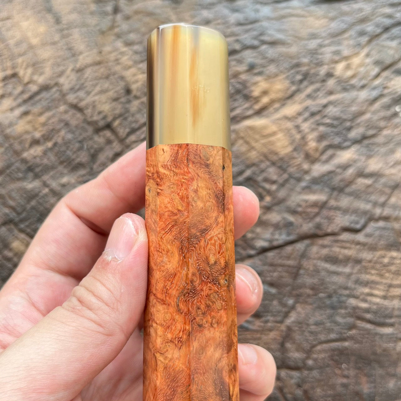 I-  3 Golden Amboyna Burl Wa handle with white horn ferrule  145mm