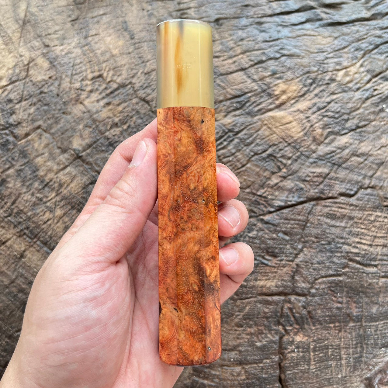 I-  3 Golden Amboyna Burl Wa handle with white horn ferrule  145mm