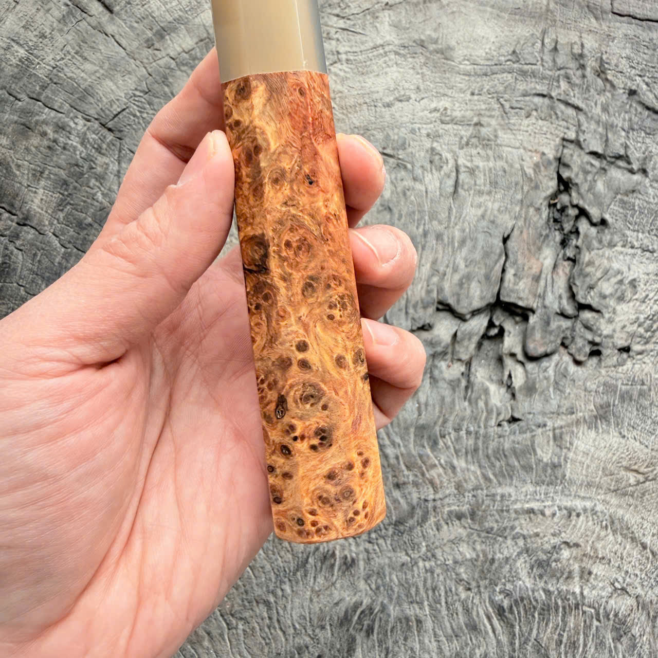 I- 5 Dragon burl Wa handle, white horn Ferrule, 135mm handle