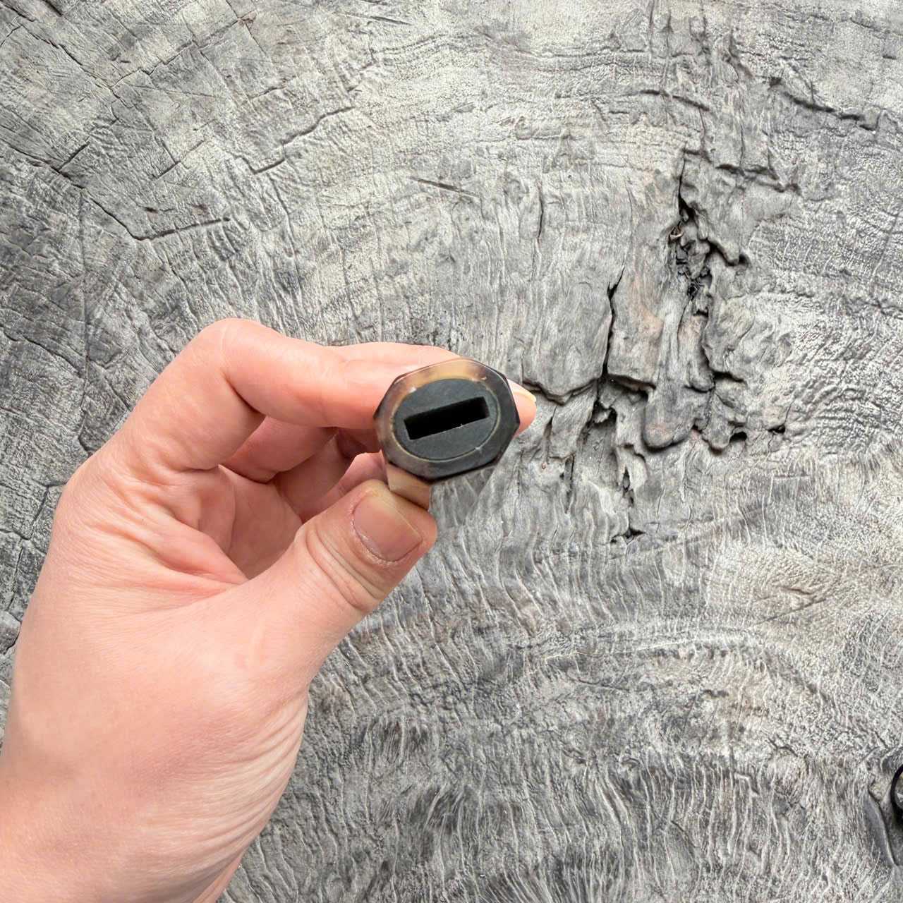 I- 11 Ebony Wa handle, white horn Ferrule, 135mm handle