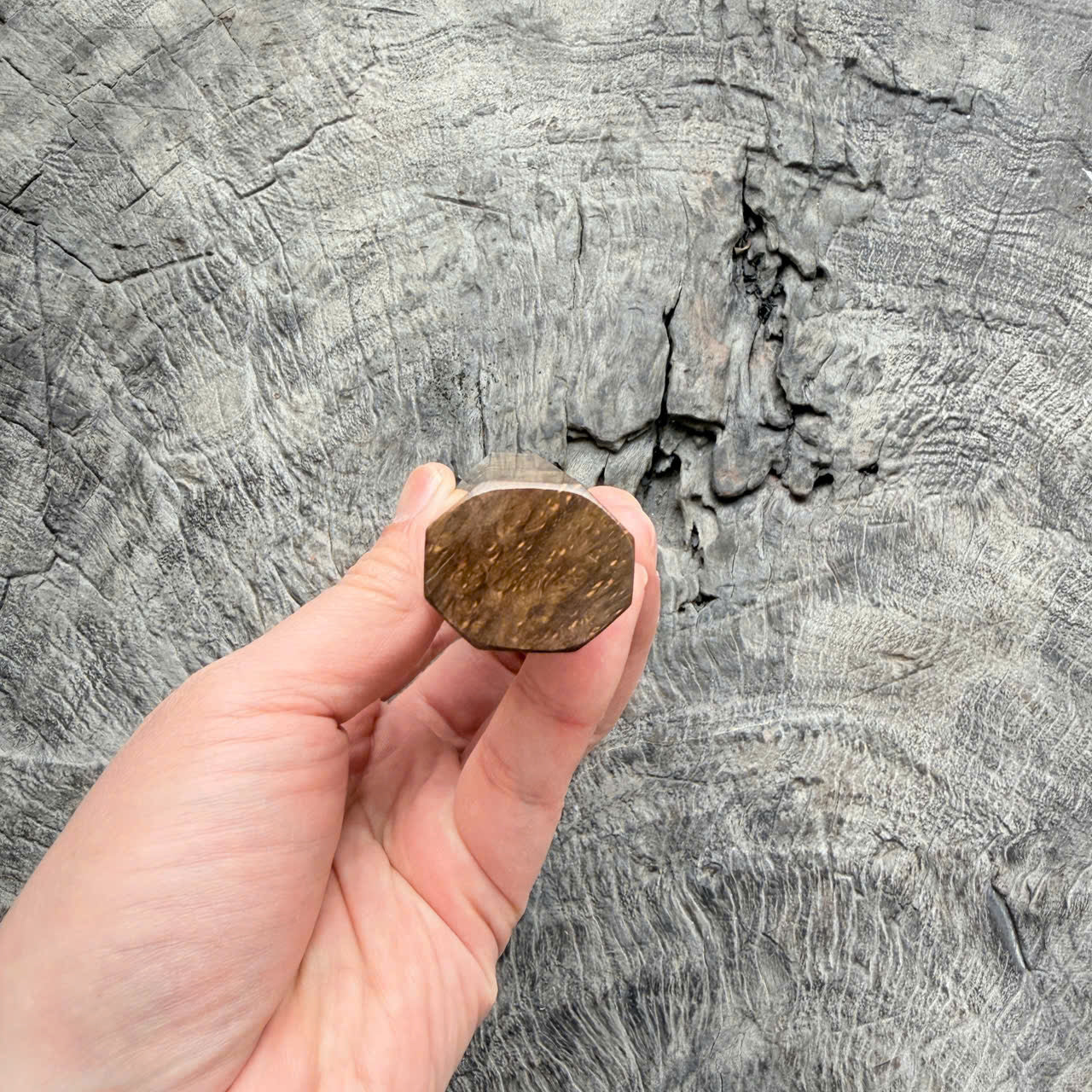 I - Two tone ebony burl wa handle, Mono handle, 140mm