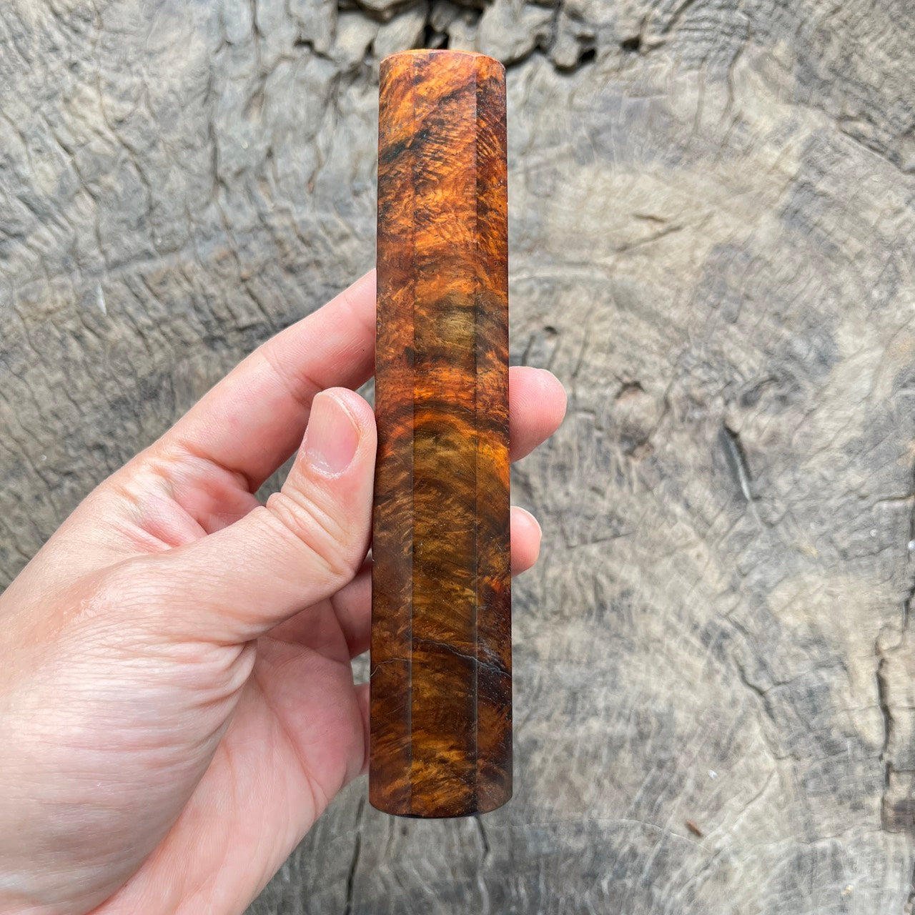 I - Super special Burl Curly Siam Rosewood Wa handle, Mono - 145mm