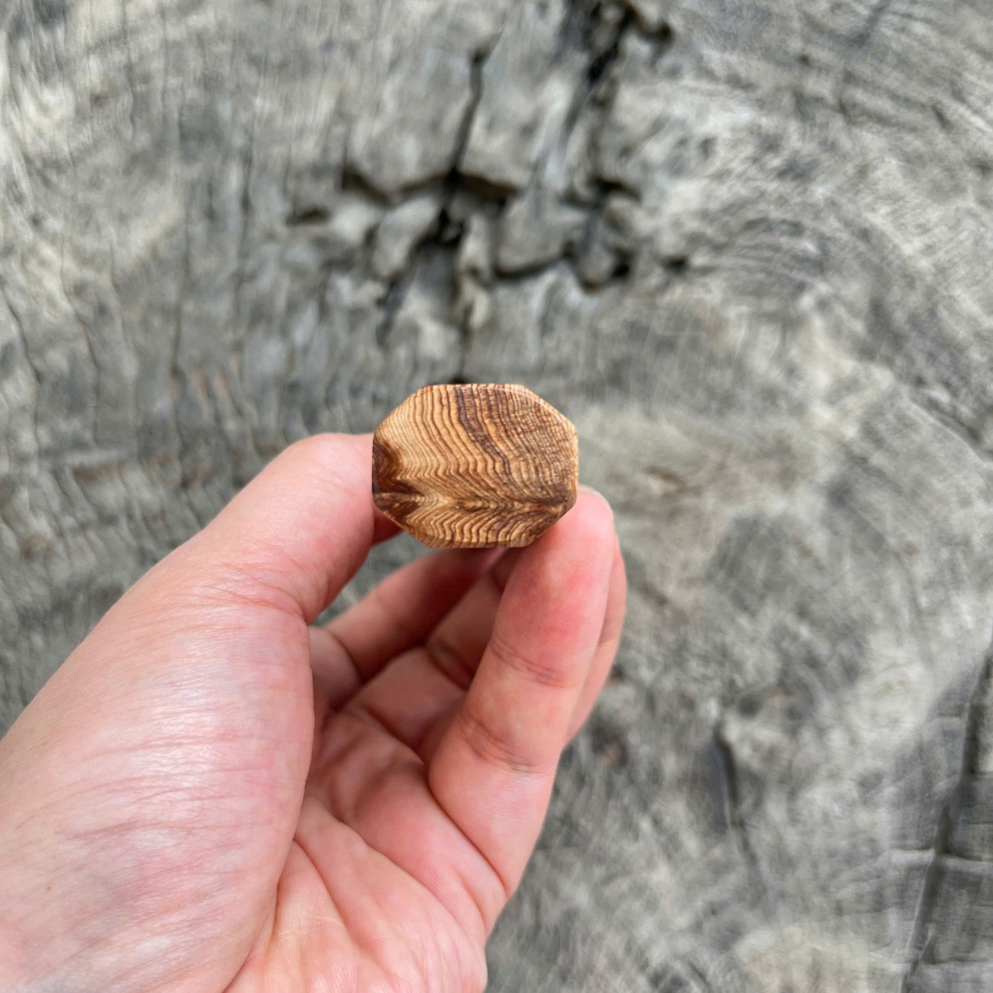 I- Mono Chinese Cedar Burl Wa handle