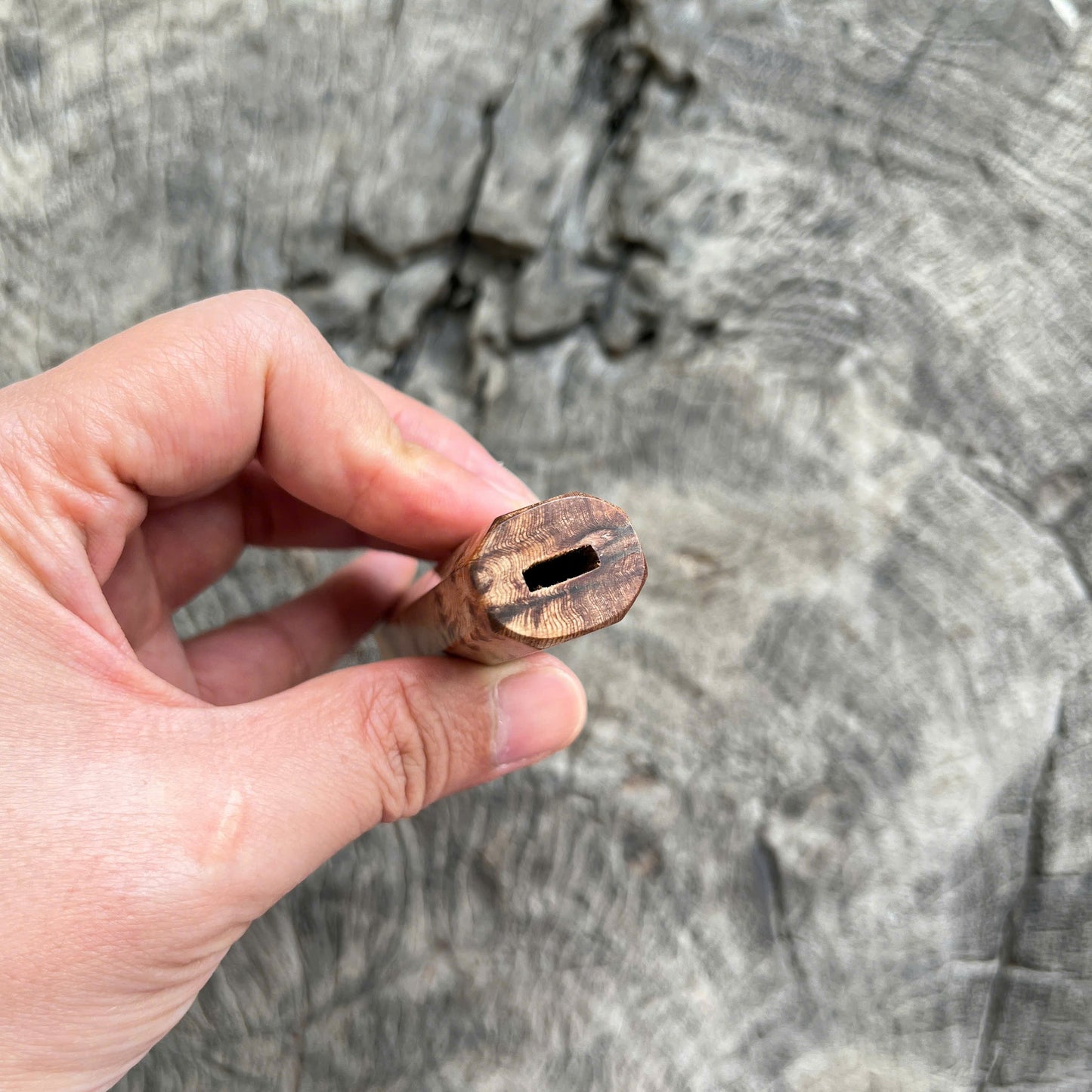 I- Mono Chinese Cedar Burl Wa handle