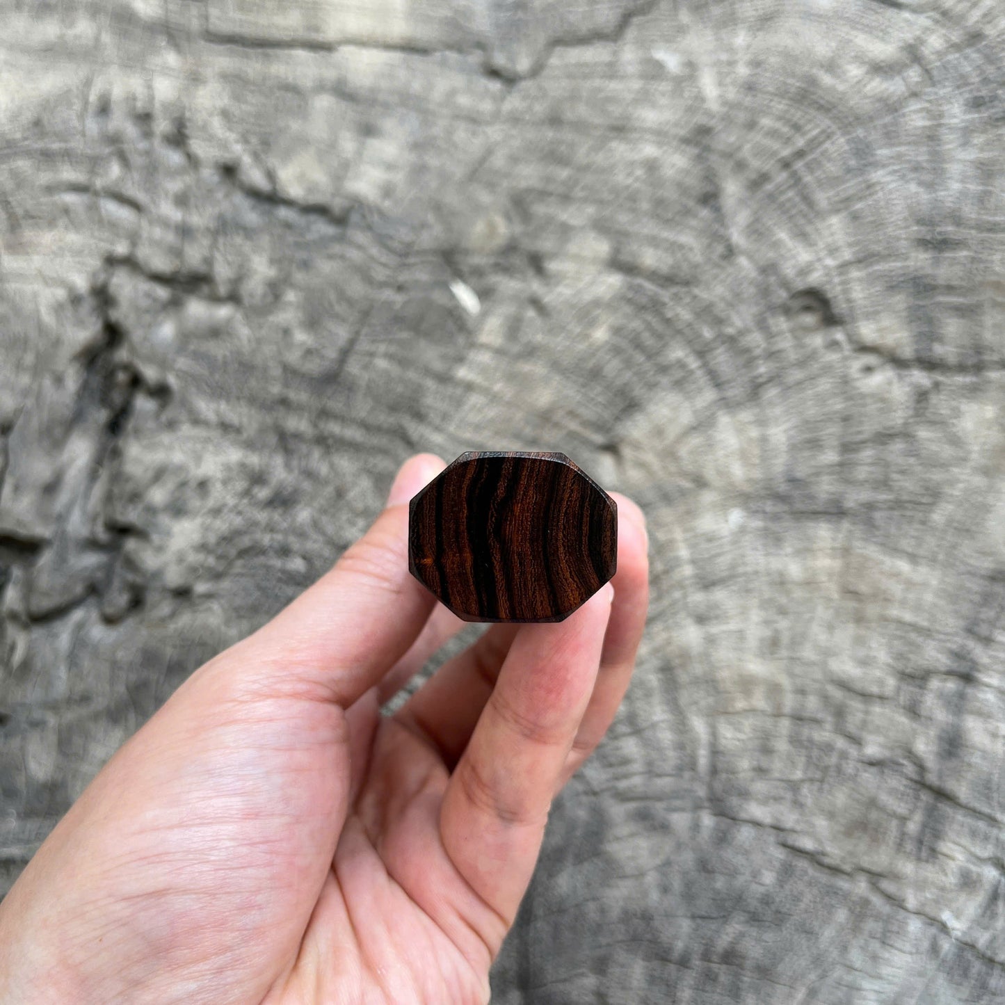 I -  3 Desert ironwood Wa handle, Black horn ferrule - 145mm
