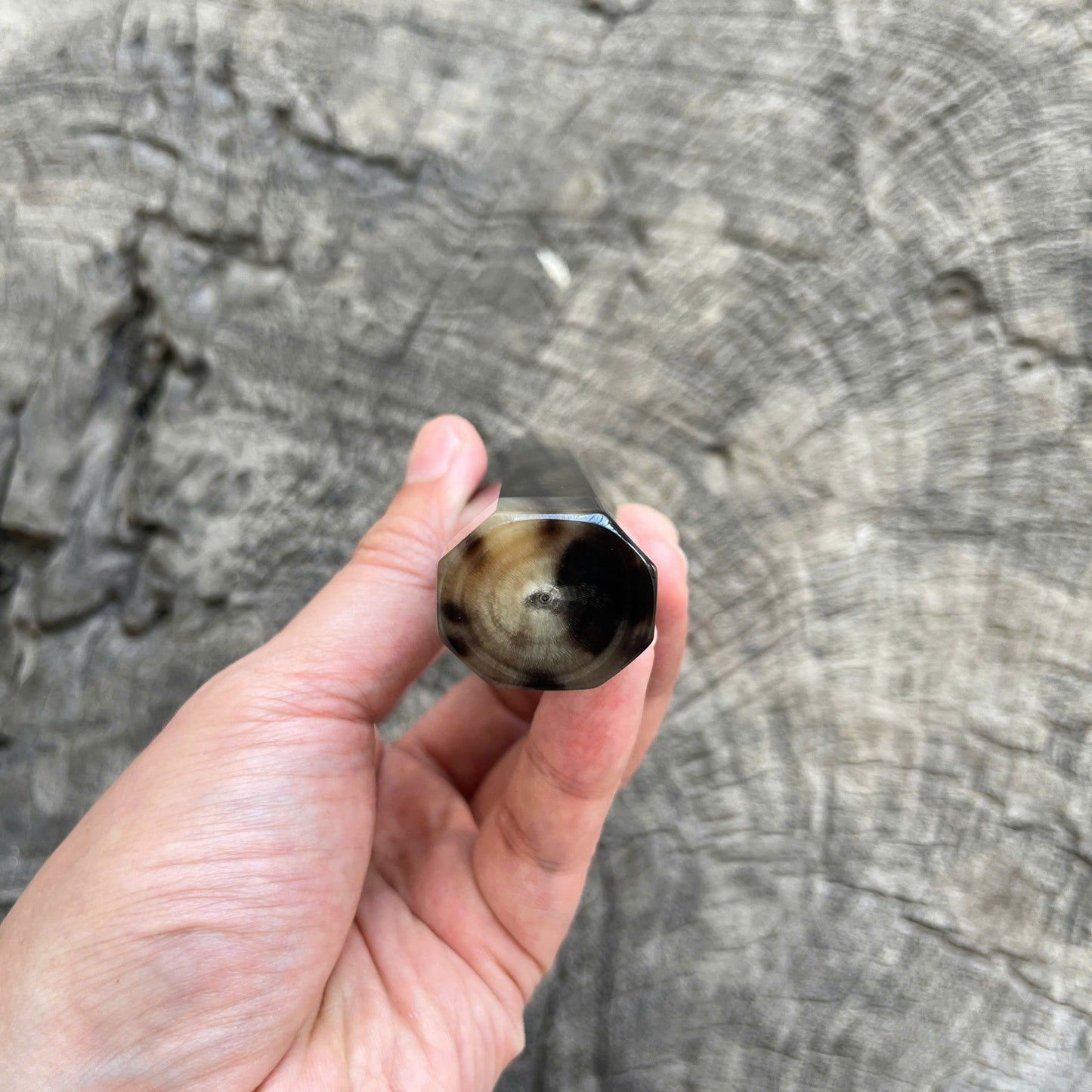 I - 10 Ebony Wa handle, Marble horn ferrule End Cap - 140mm
