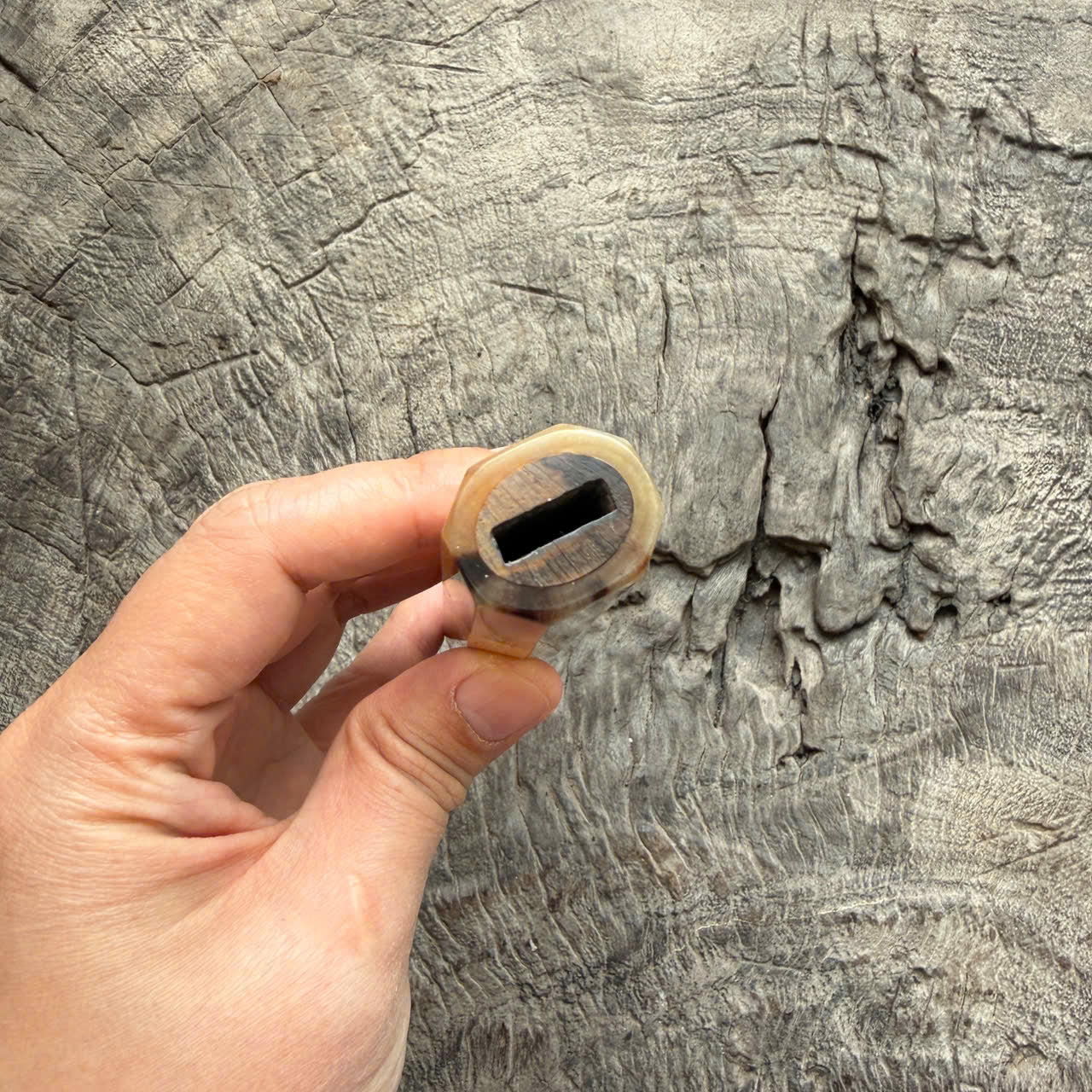 I - Two tone blackwood Wa handle, Marble horn ferrule - end cap- 145 mm