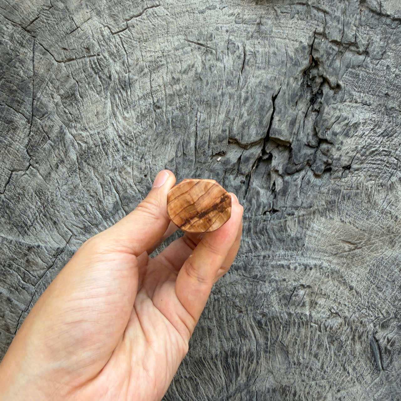 I - Cool Tamamoku Cedar Wa handle, Amazing Horn ferrule, 145 mm handle