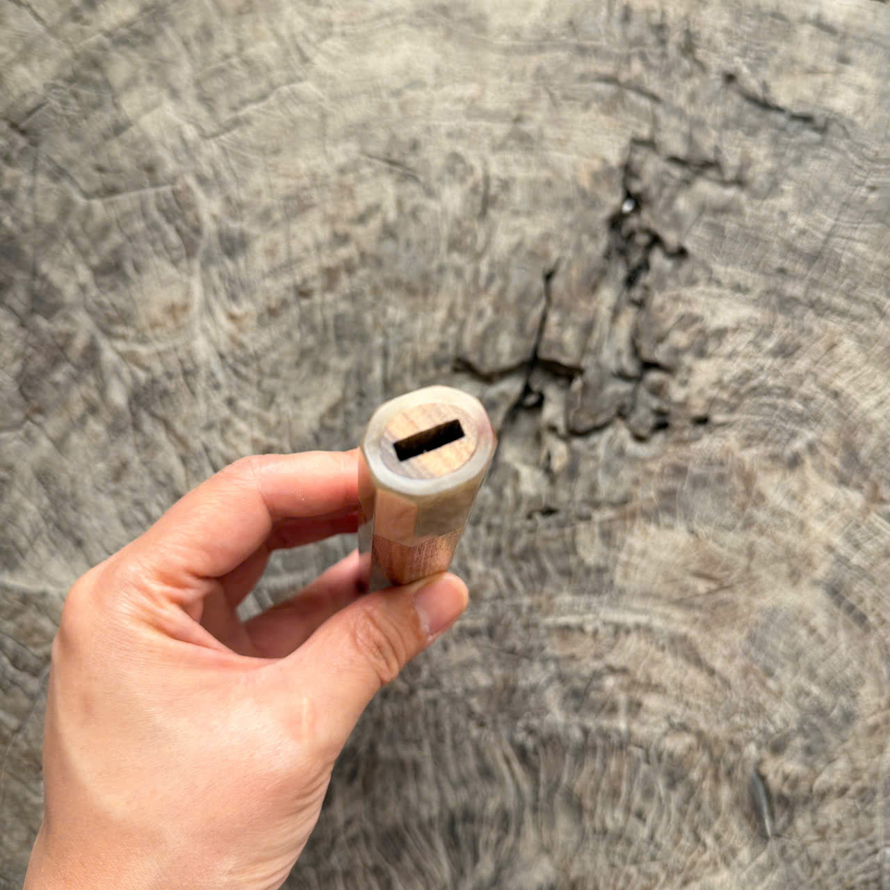 I -5 Curly Two tone Hawaiian Koa Wa handle, white horn ferrule,  145 mm handle