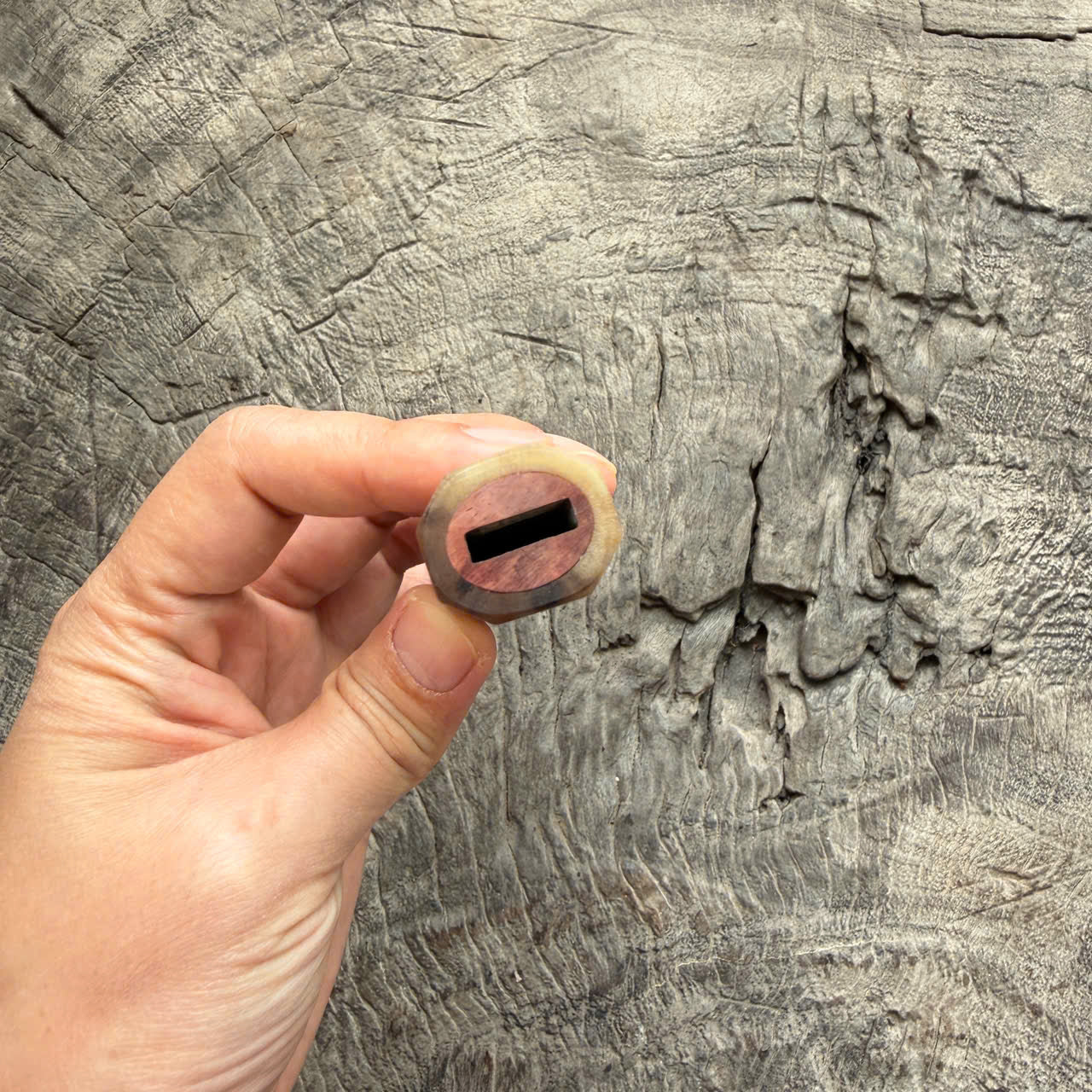 I - 6 Burl Rosewood Wa Handle,Marble horn ferrule End cap- 140mm