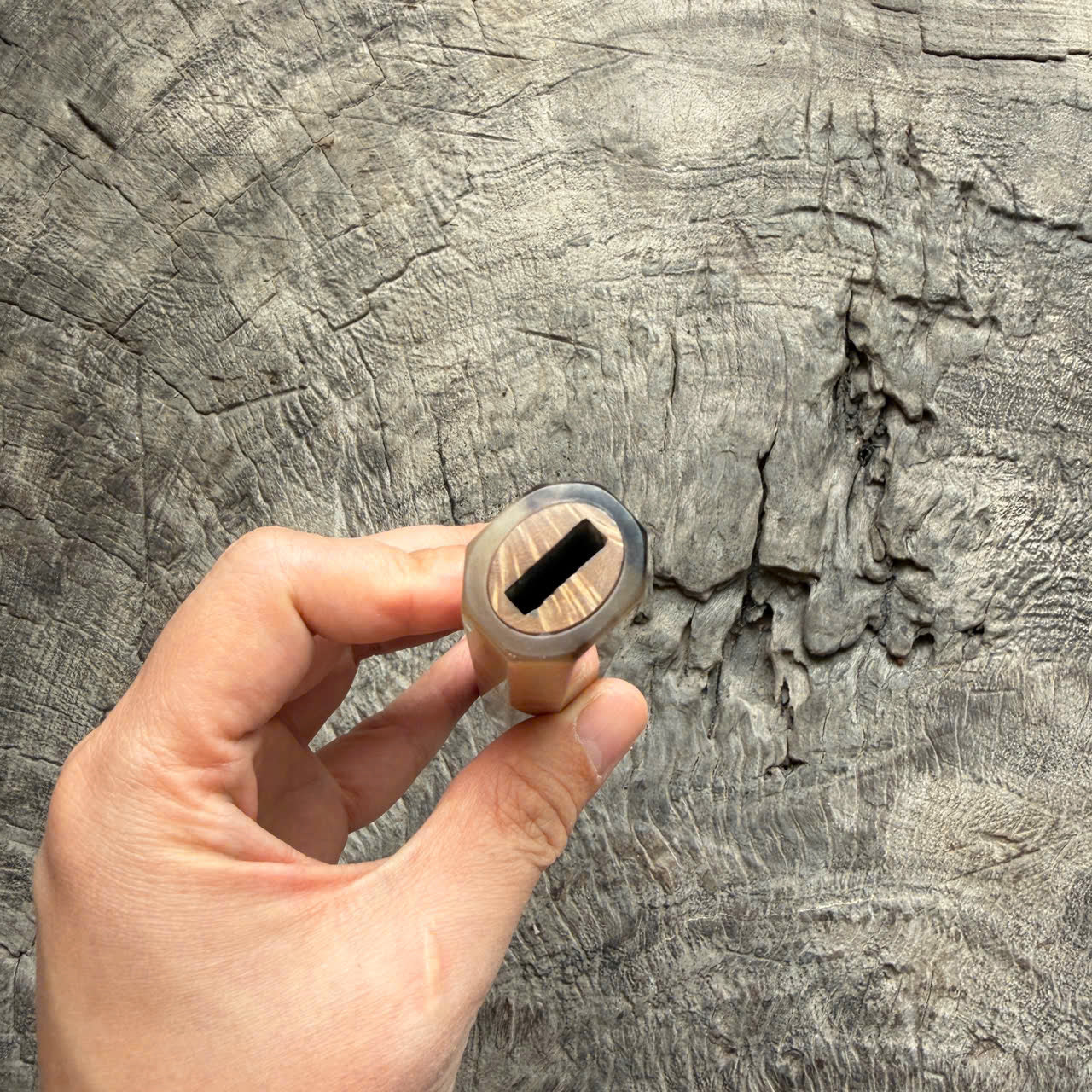 I - Burl crape myrtle Wa handle, Marble horn ferrule - end cap- 145 mm