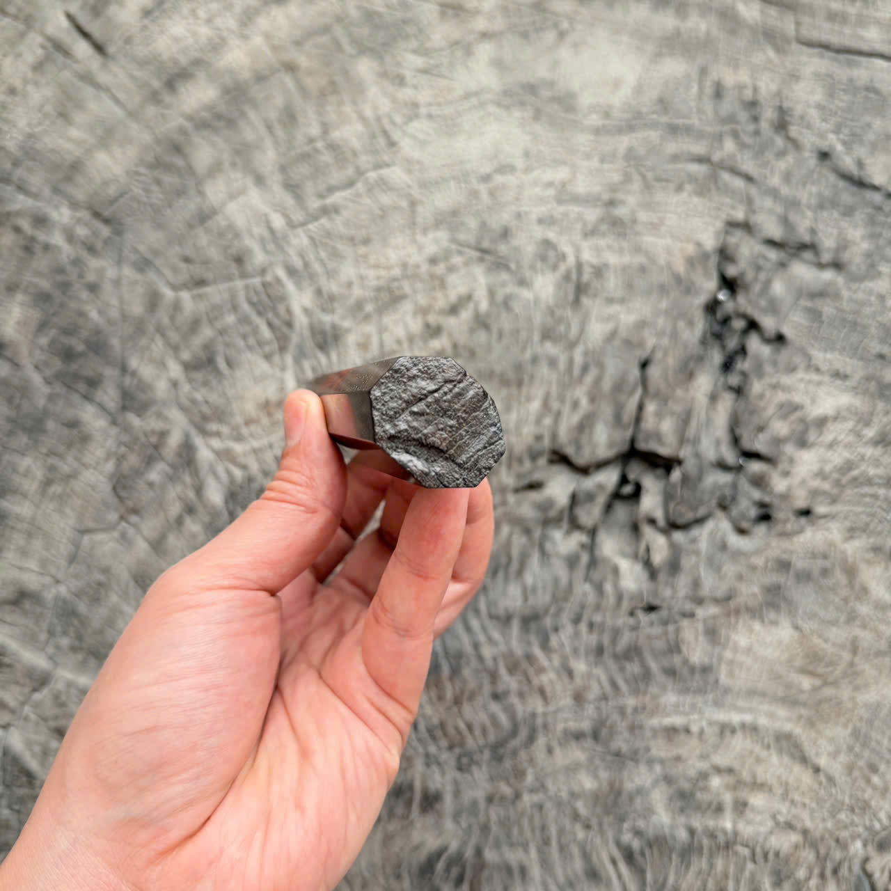 I - SUPER Siamese Rosewood Burl Wa handle, Live Edge, Cool black white horn Ferrule,  145mm handle