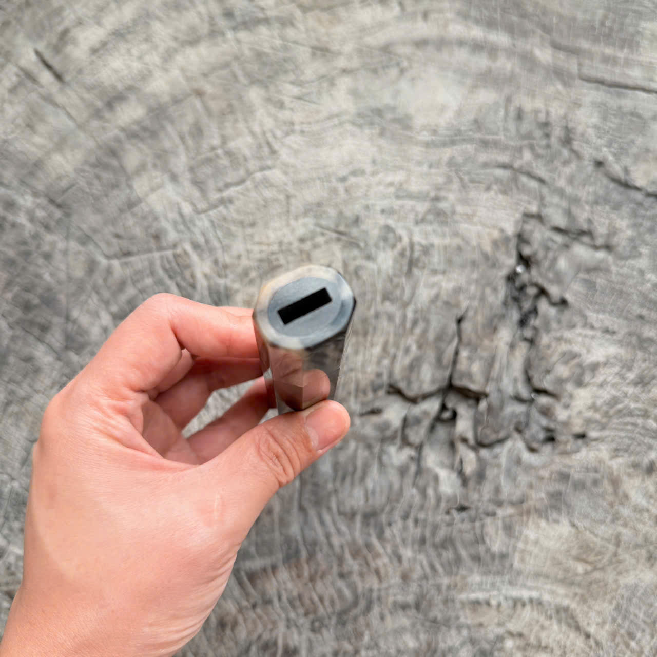 I - SUPER Siamese Rosewood Burl Wa handle, Live Edge, Cool black white horn Ferrule,  145mm handle