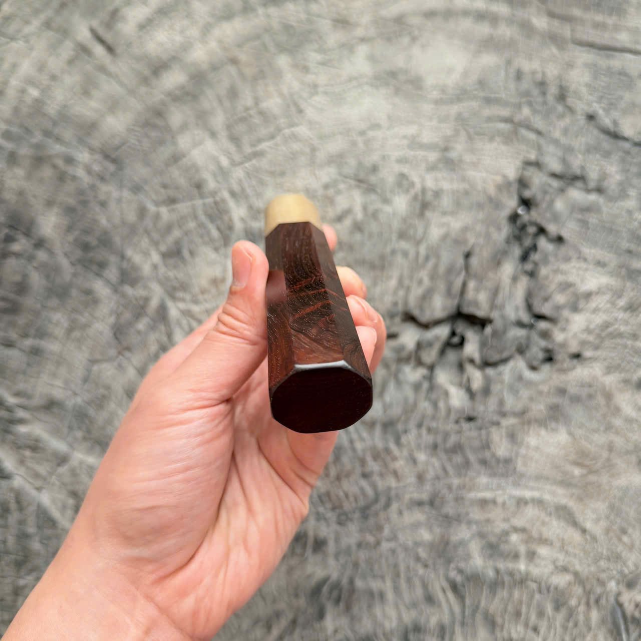 I -8 Curly Siamese Rosewood Wa handle ,White horn Ferrule , 140mm handle