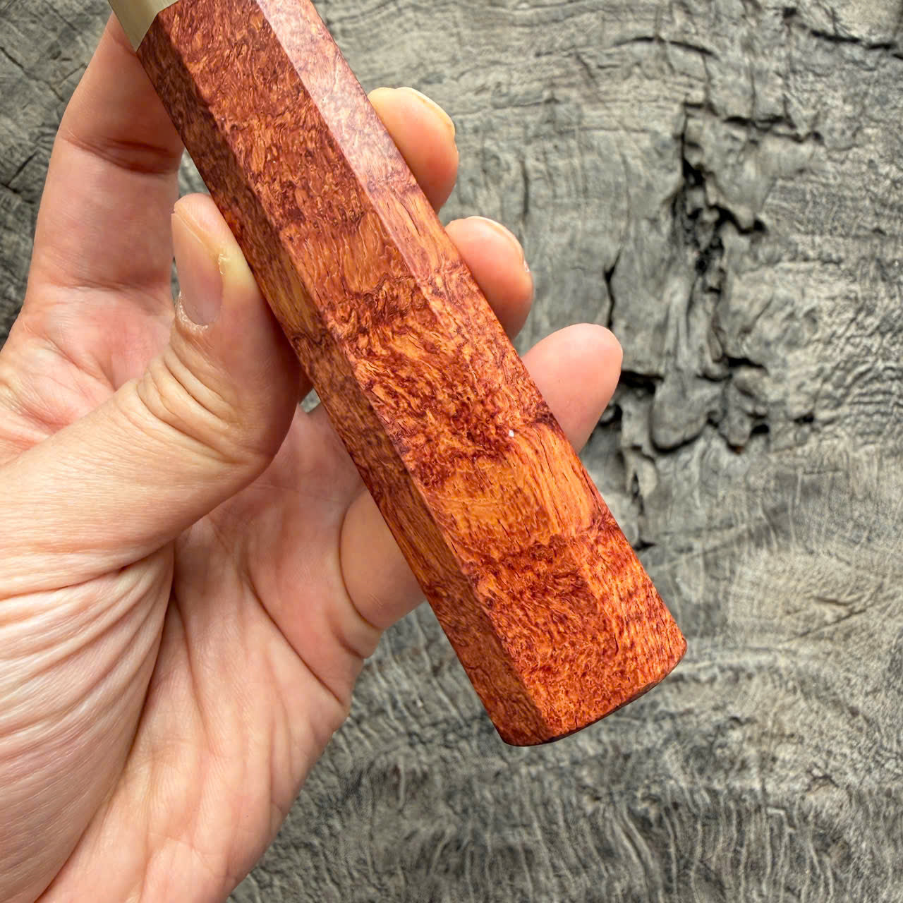 I- 4 Burl Rosewood Wa handle, Ivory horn ferrule- 135mm