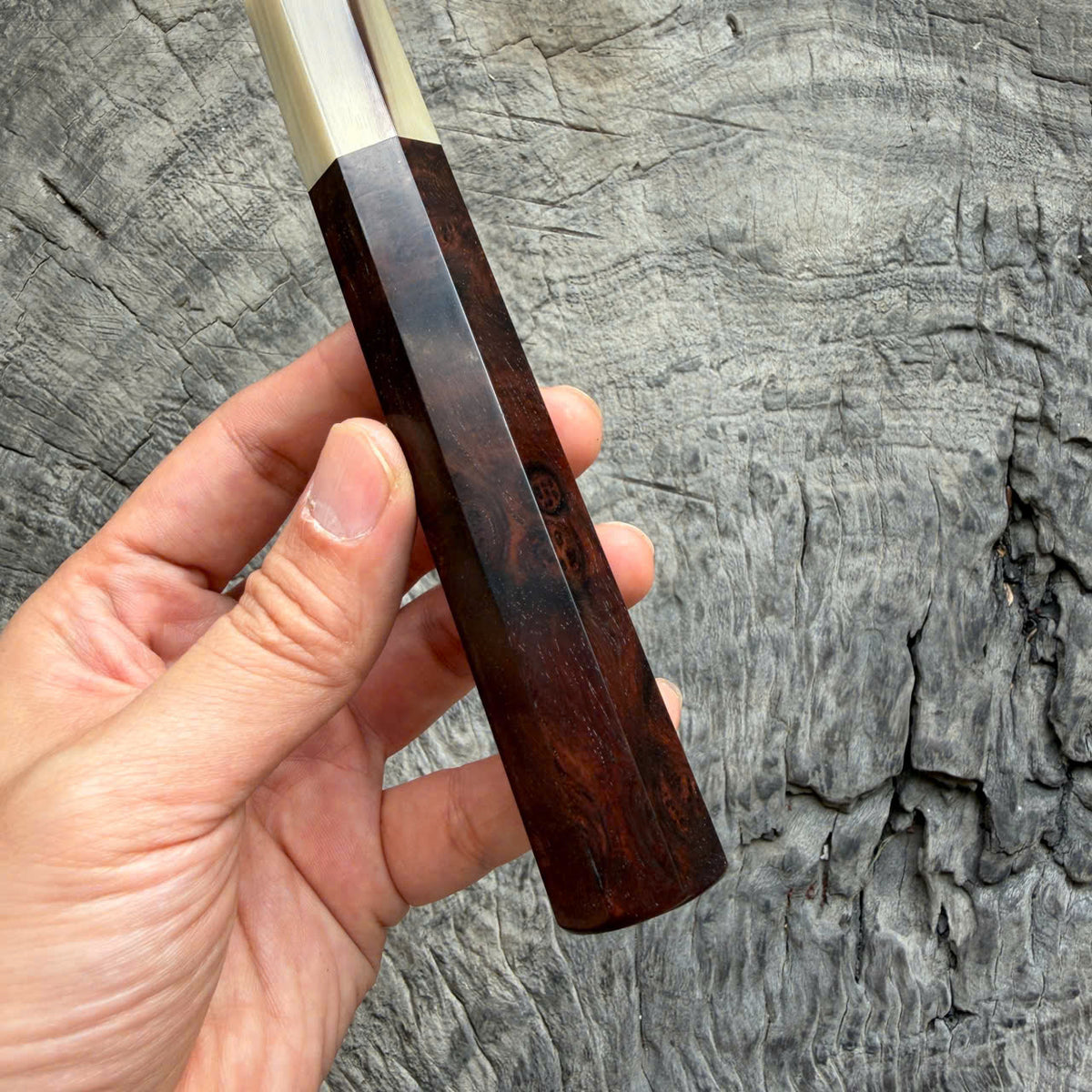 I - Rare Dark Burl Siamese Rosewood Wa handle, Black Cream Horn Ferruel, 145 mm handle