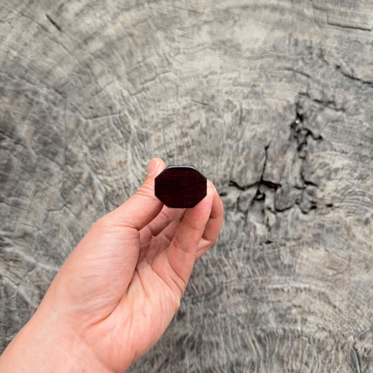 I -8 Curly Siamese Rosewood Wa handle ,White horn Ferrule , 140mm handle