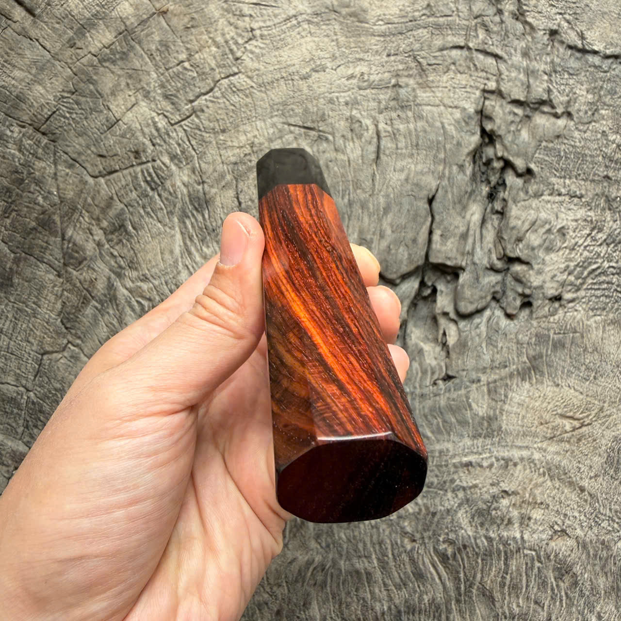 I - 2 Tight Grain Siamese  Wa handle, Marble horn ferrule - end cap- 145 mm