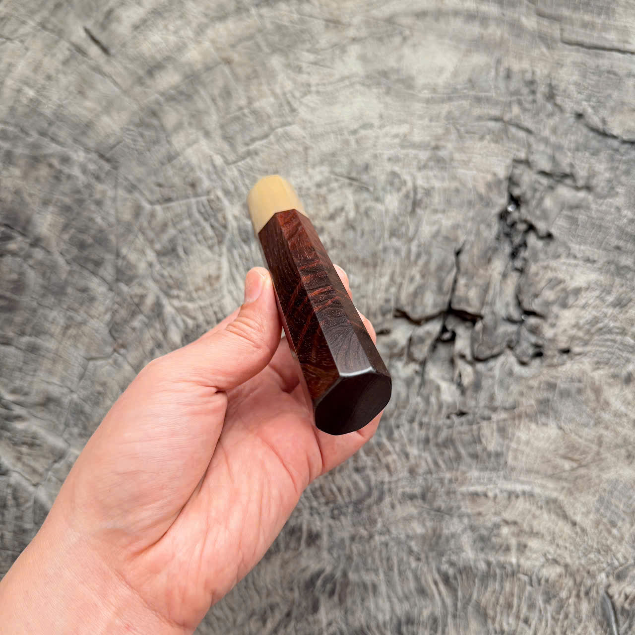 I -8 Curly Siamese Rosewood Wa handle ,White horn Ferrule , 140mm handle