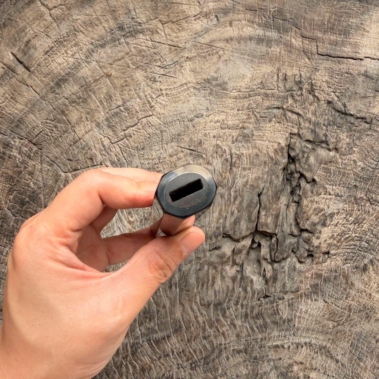 I- 13 Burl Siamese Rosewood Wa handle, Black White horn Ferrule - 135mm