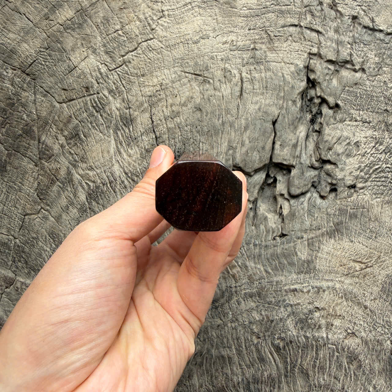 I - 2 Tight Grain Siamese  Wa handle, Marble horn ferrule - end cap- 145 mm