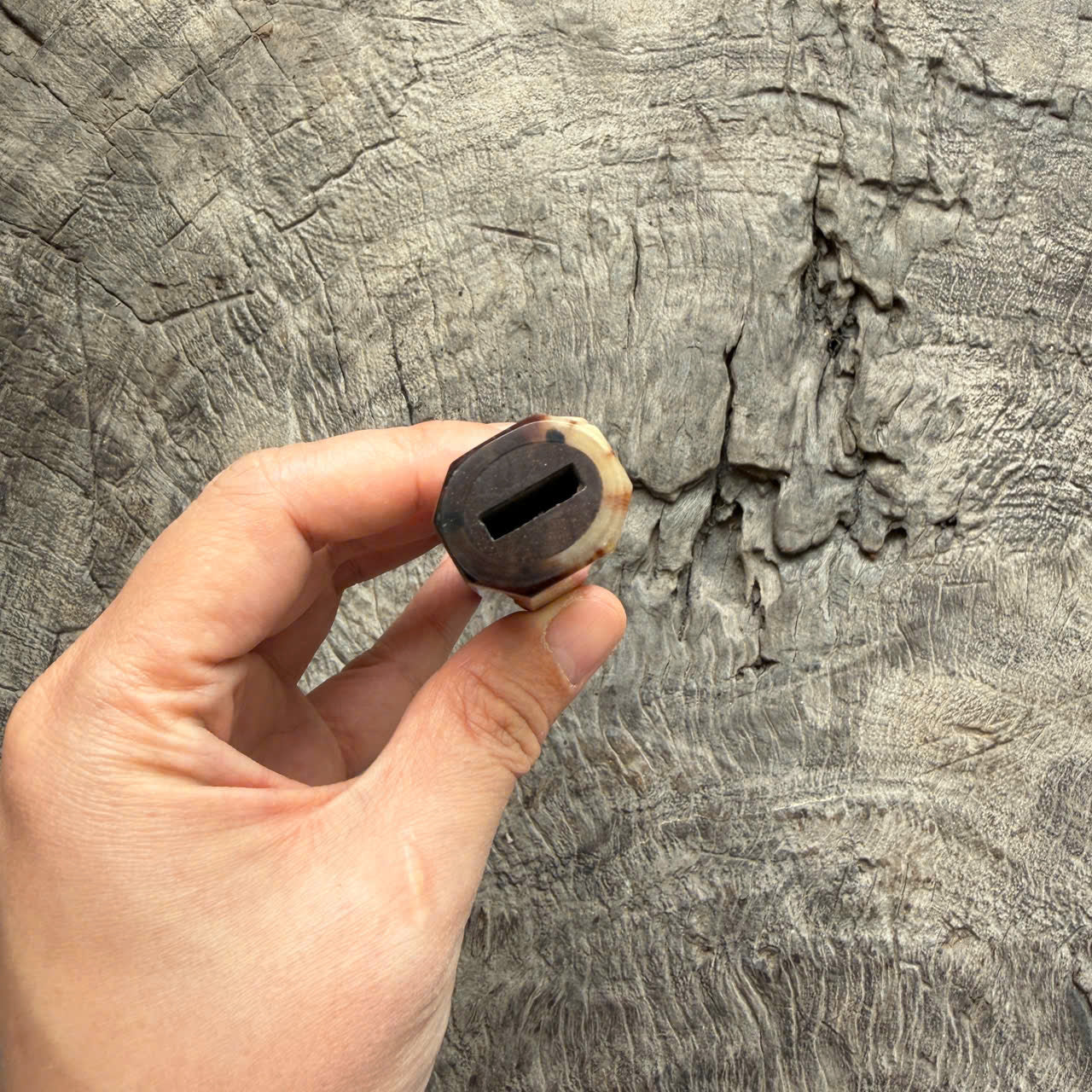 I - 27 Curly Siamese Rosewood Wa Handle, Marble horn ferrule End cap- 140mm