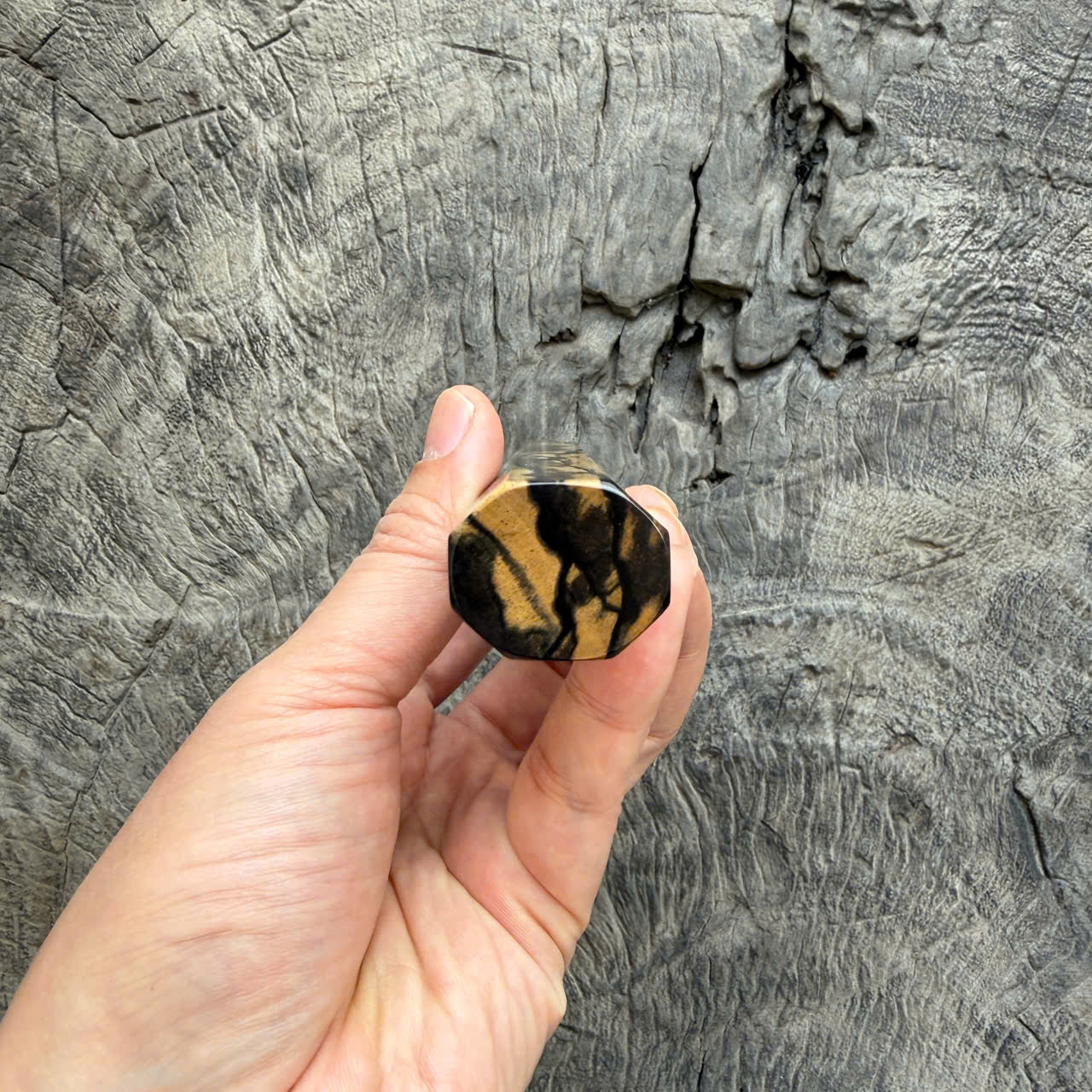 I - 10 Two tone Ebony Wa handle, Mono -  140 mm