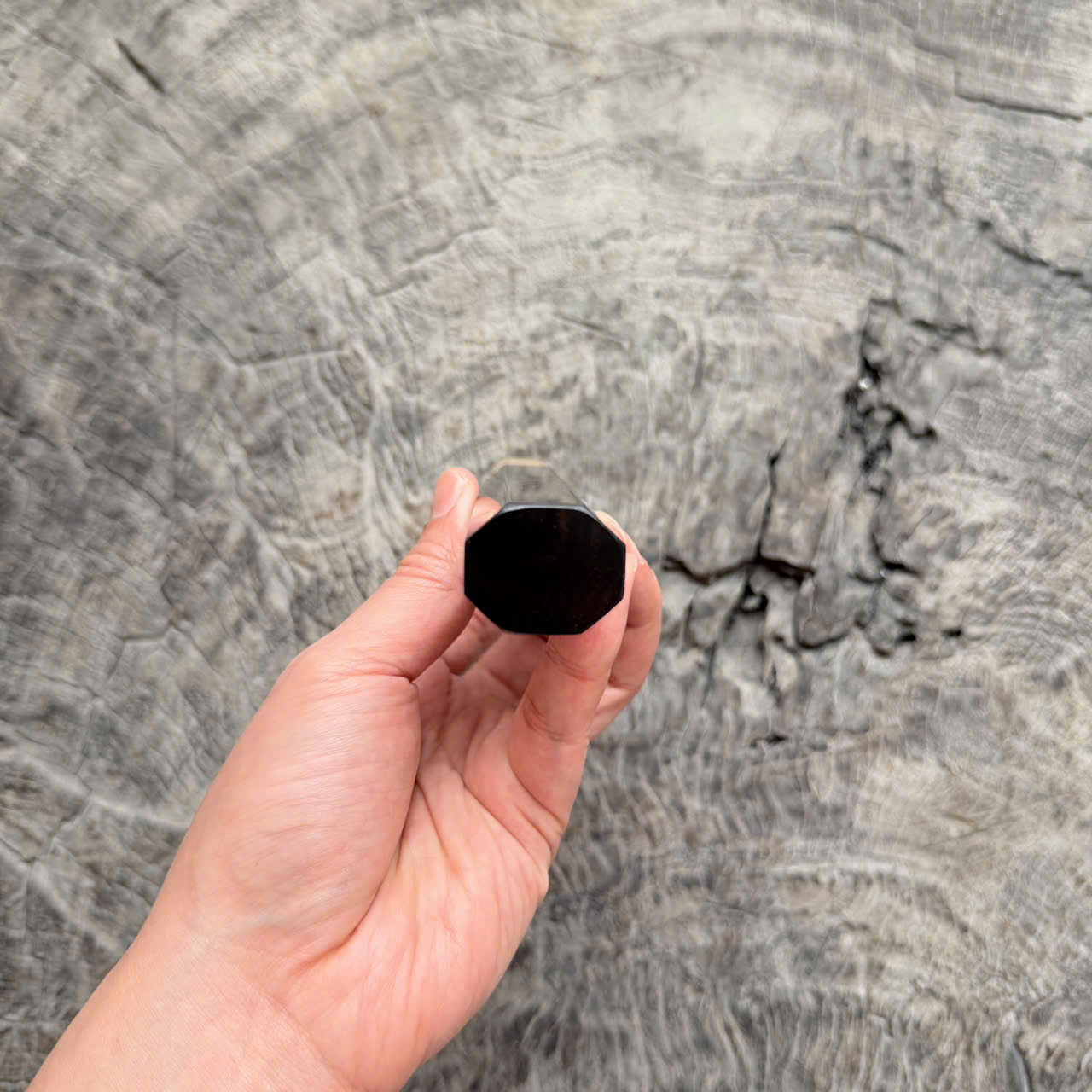 I - 5 Cool Curly Black Siamese Rosewood Wa handle , marble horn Ferrule,  145 mm handle