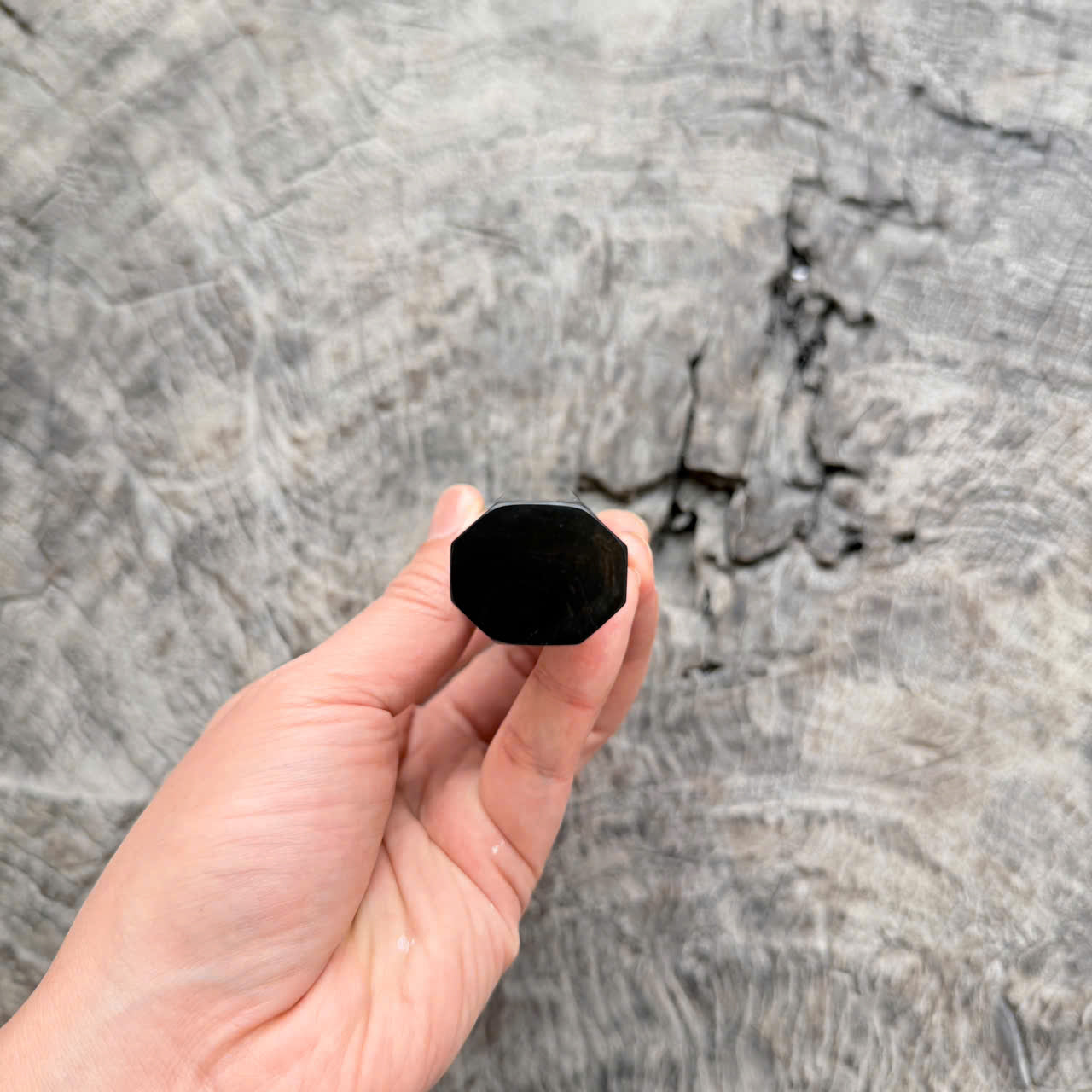 I- 11 Black Ebony Wa handle, Cream horn Ferrule - 135mm