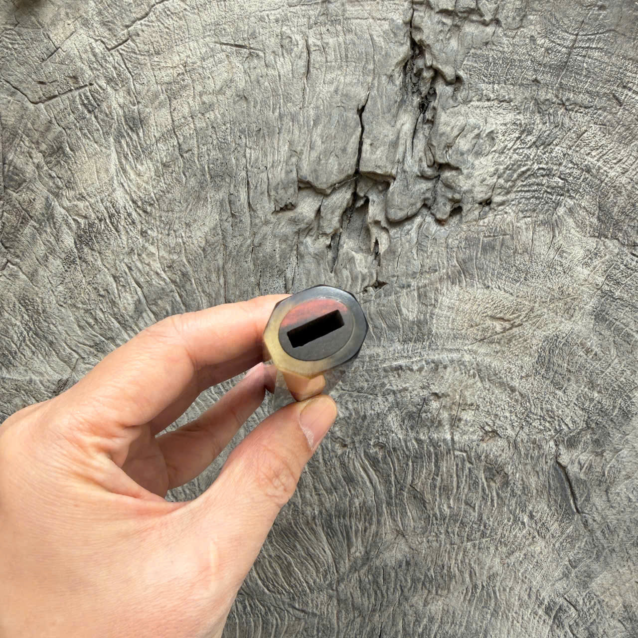 I - 19 Siamese Rosewood Wa handle, Marble Horn Ferrule - 145 mm