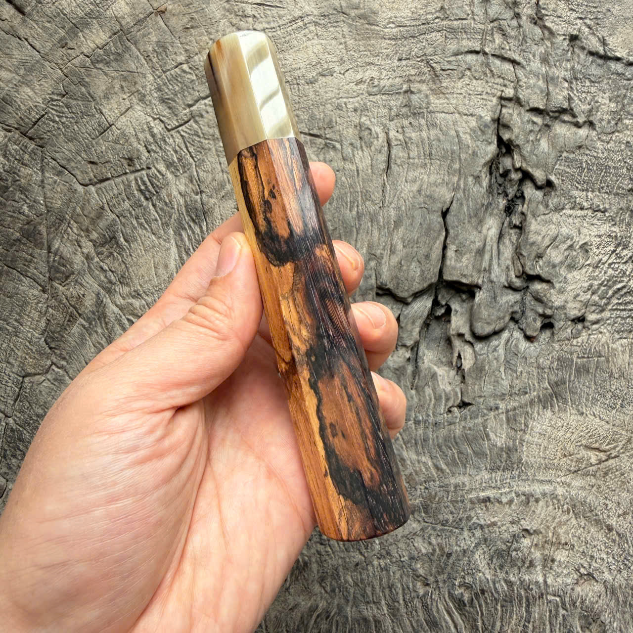 I - Two tone blackwood Wa handle, Marble horn ferrule - end cap- 145 mm