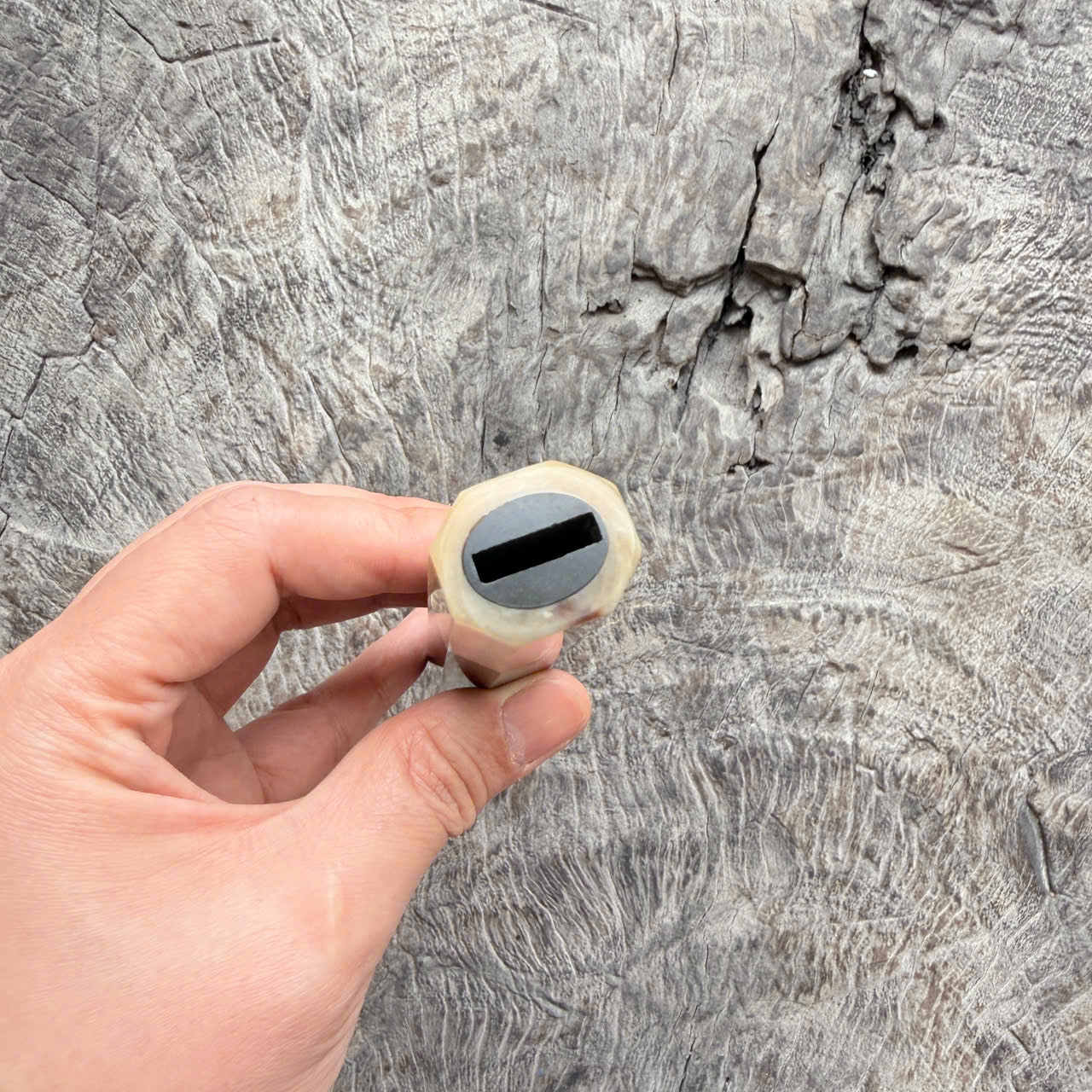 I- 11 Black Ebony Wa handle, Cream horn Ferrule - 135mm