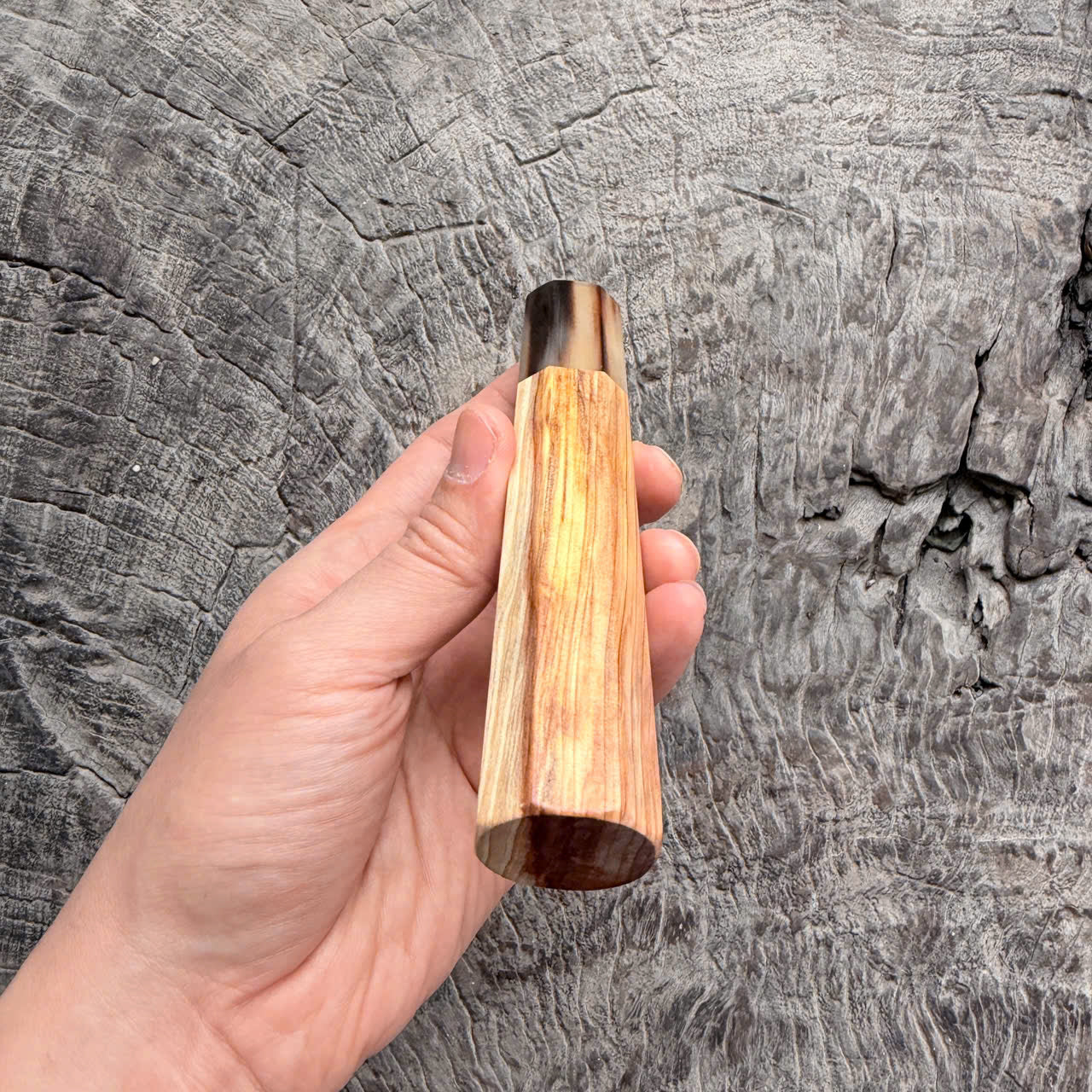 I - 2 Two tone Curly Japanese Tamamoku Cedar, Marble horn ferrule, 140mm