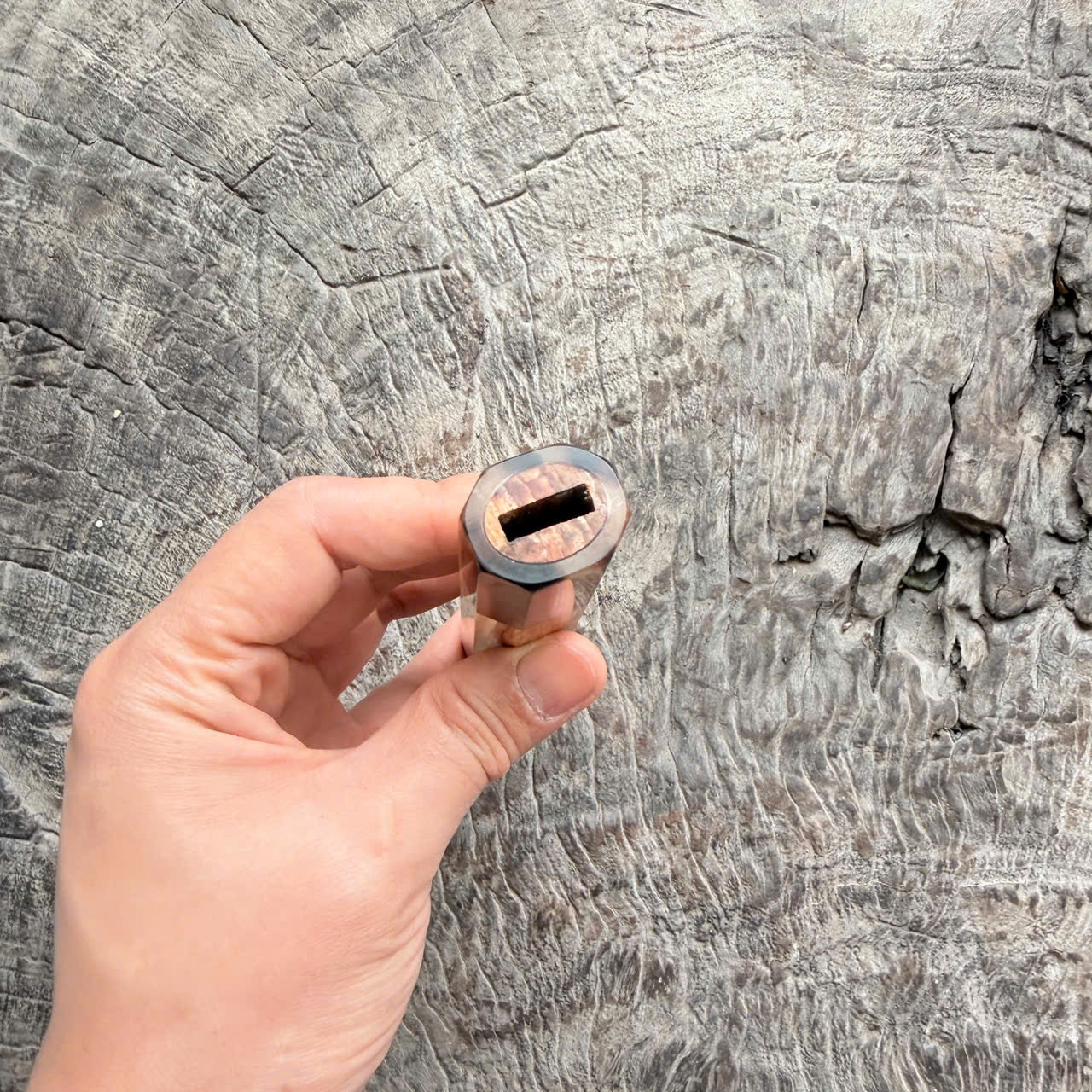 I - 2 Two tone Curly Japanese Tamamoku Cedar, Marble horn ferrule, 140mm