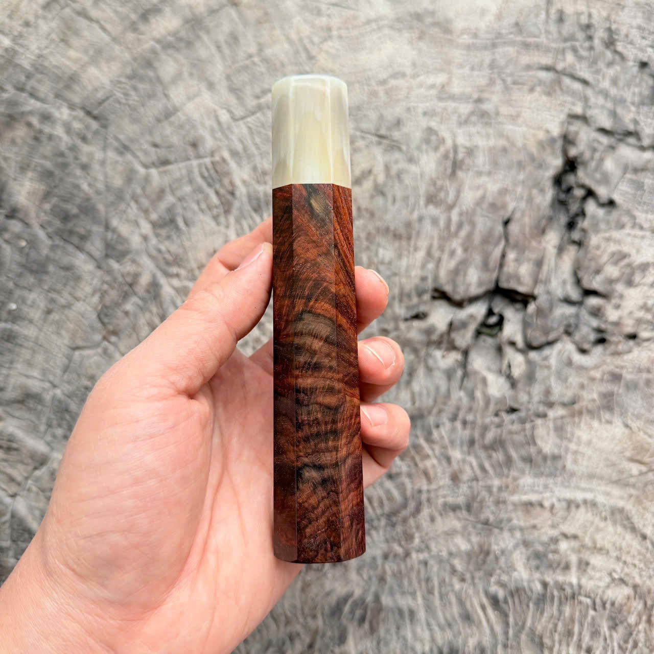 I - Cool Micro Curly Siamese Rosewood Wa handle, Cream horn ferrule,  145 mm handle