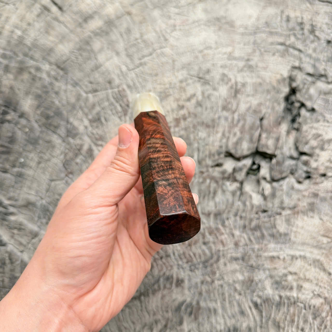 I - Cool Micro Curly Siamese Rosewood Wa handle, Cream horn ferrule,  145 mm handle