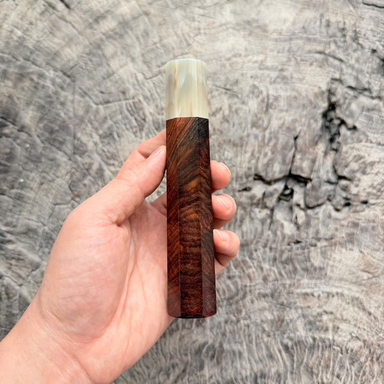 I - Cool Micro Curly Siamese Rosewood Wa handle, Cream horn ferrule,  145 mm handle