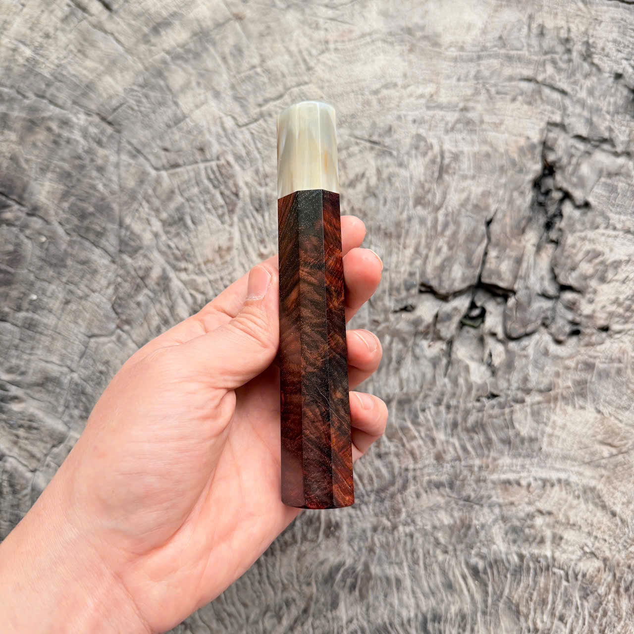 I - Cool Micro Curly Siamese Rosewood Wa handle, Cream horn ferrule,  145 mm handle