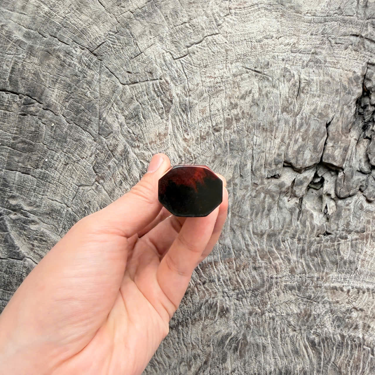 I - 24 Curly Black Red Siamese Rosewood Wa handle, Marble horn ferrule, 140mm