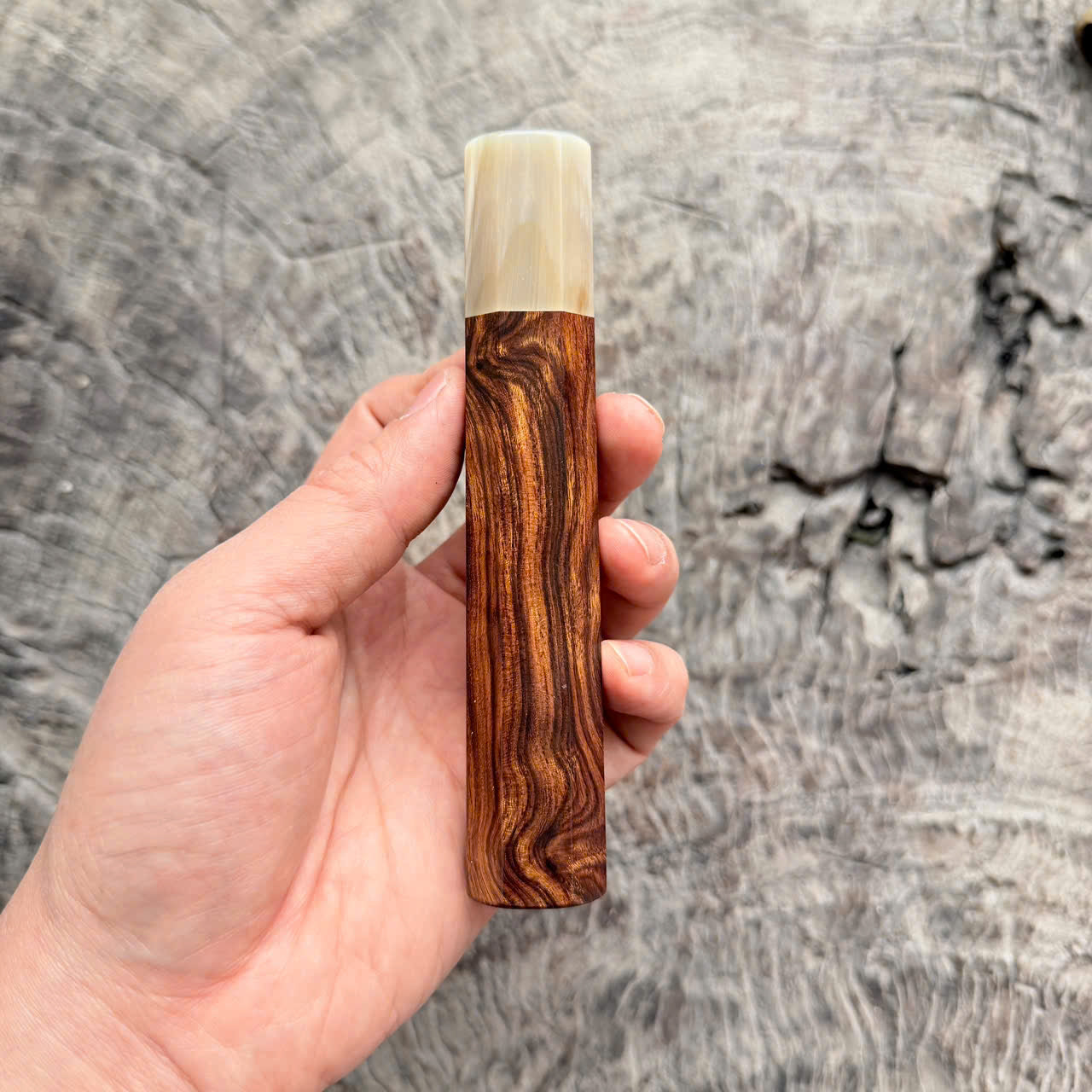I- 6 Desert Ironwood wa handle, Cream Horn Ferrule - 135mm