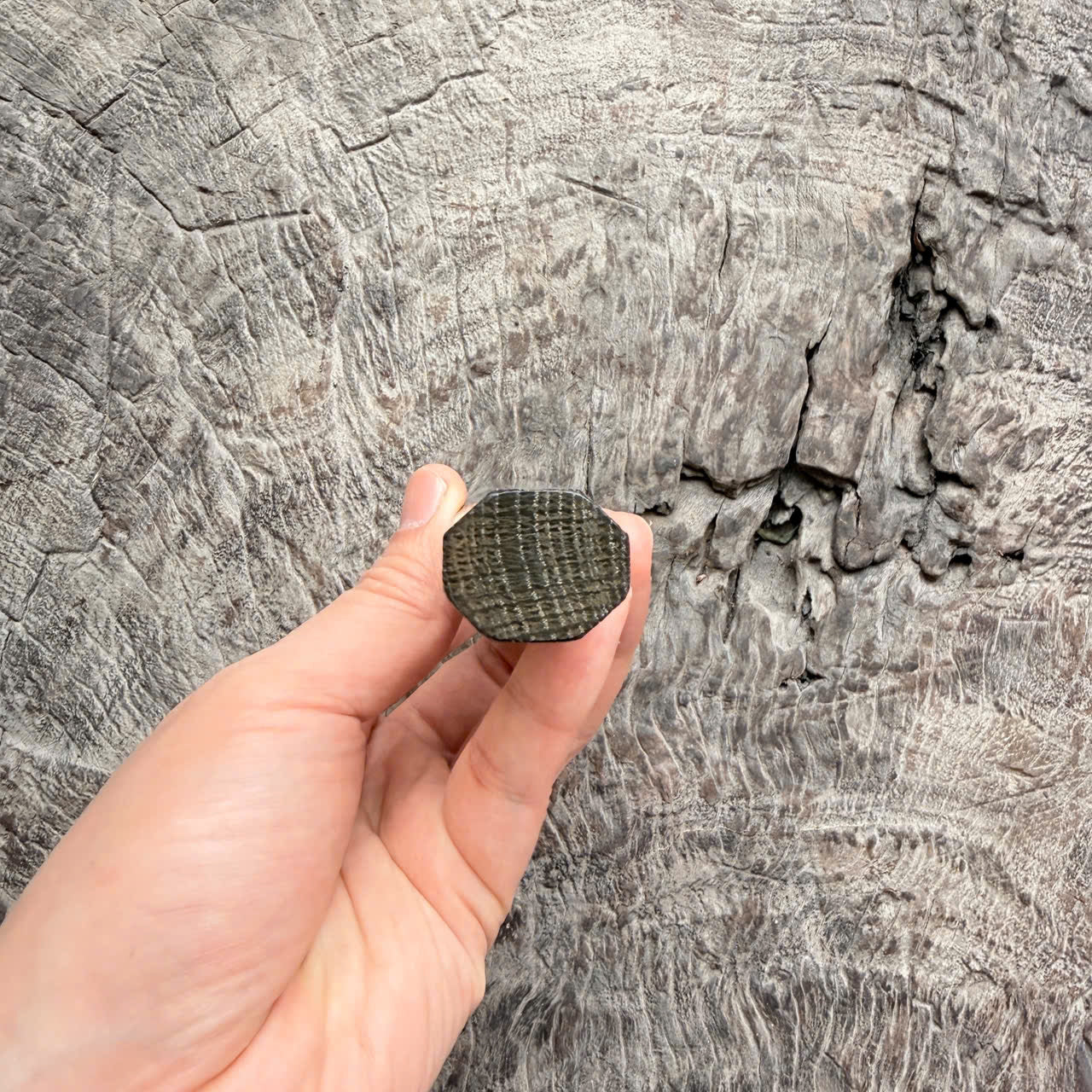 I - 4 Bog oak Wa handle, Marble horn ferrule, 140mm