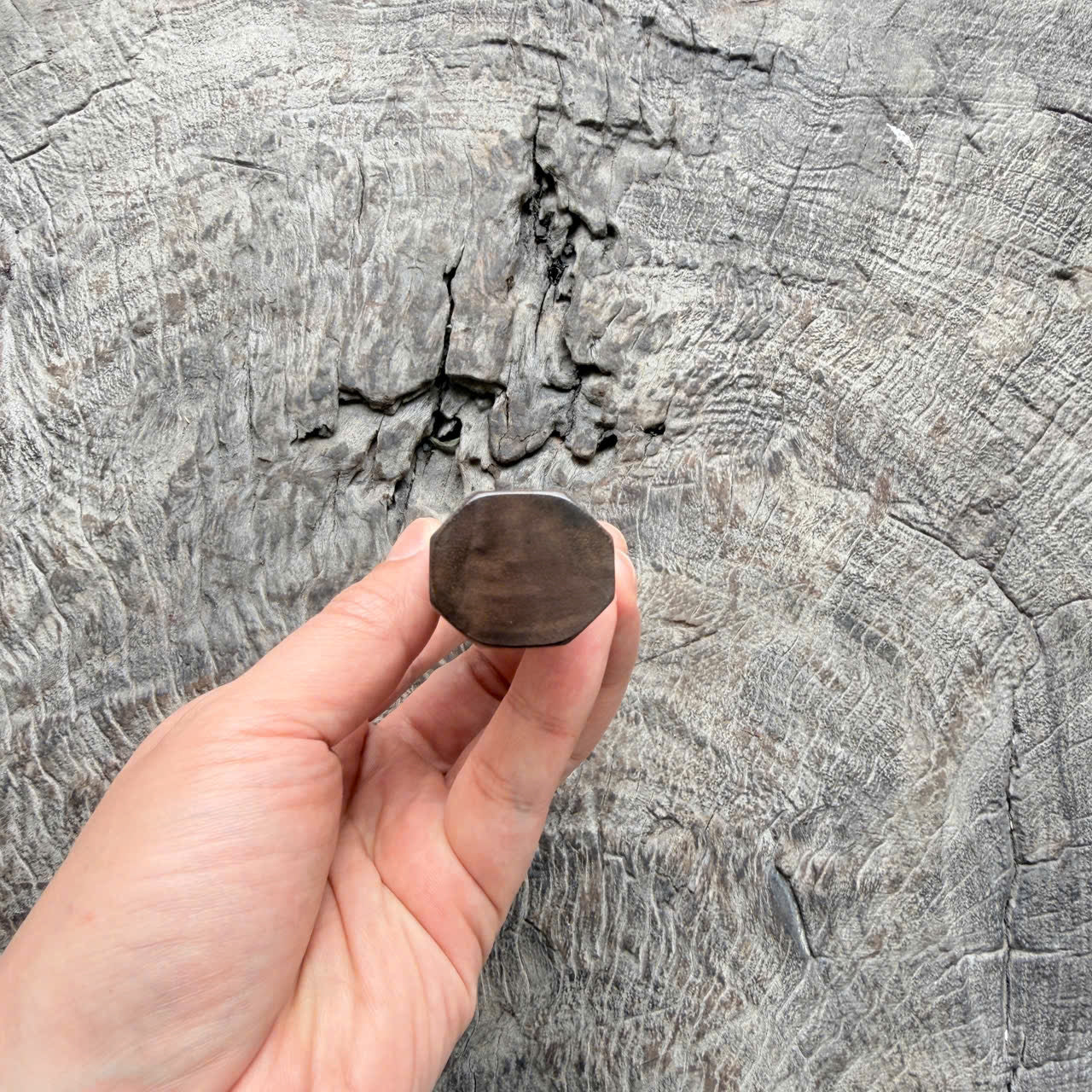 I -2 Walnut Wa handle, black ferrule,  145 mm handle