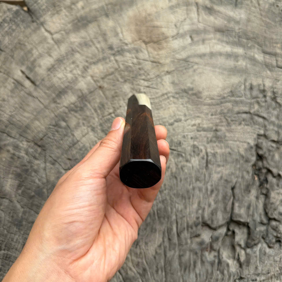 I -13 Dark Desert Ironwood Wa handle, Cream Black Horn Ferrule, 140mm