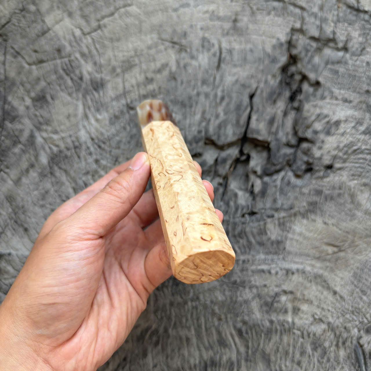 I - 8 Karelian Birch Wa handle, Cool Horn ferrule, 145 mm handle