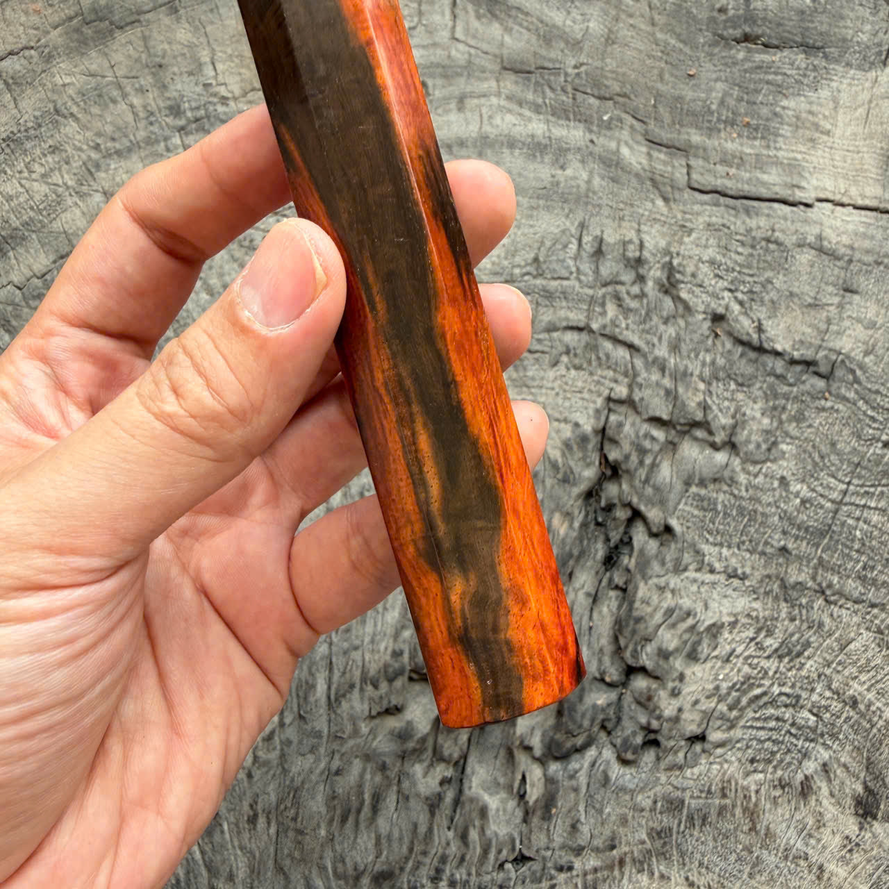 I - 1 Curly Black Red Siamese Rosewood Knife Rest, 140mm
