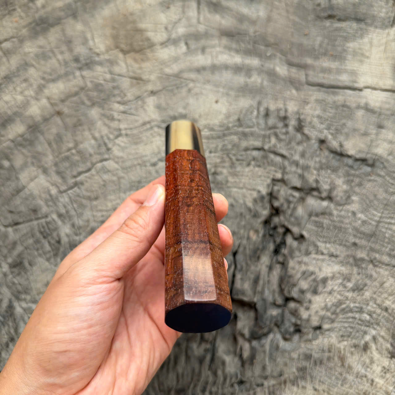I - 6 Two Tone Curly Rosewood  Wa handle, Black White Horn Ferrulle, 145 mm handle