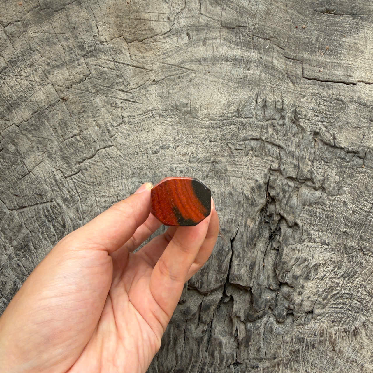I - 2 Black Red Siamese Rosewood Knife Rest, 145mm