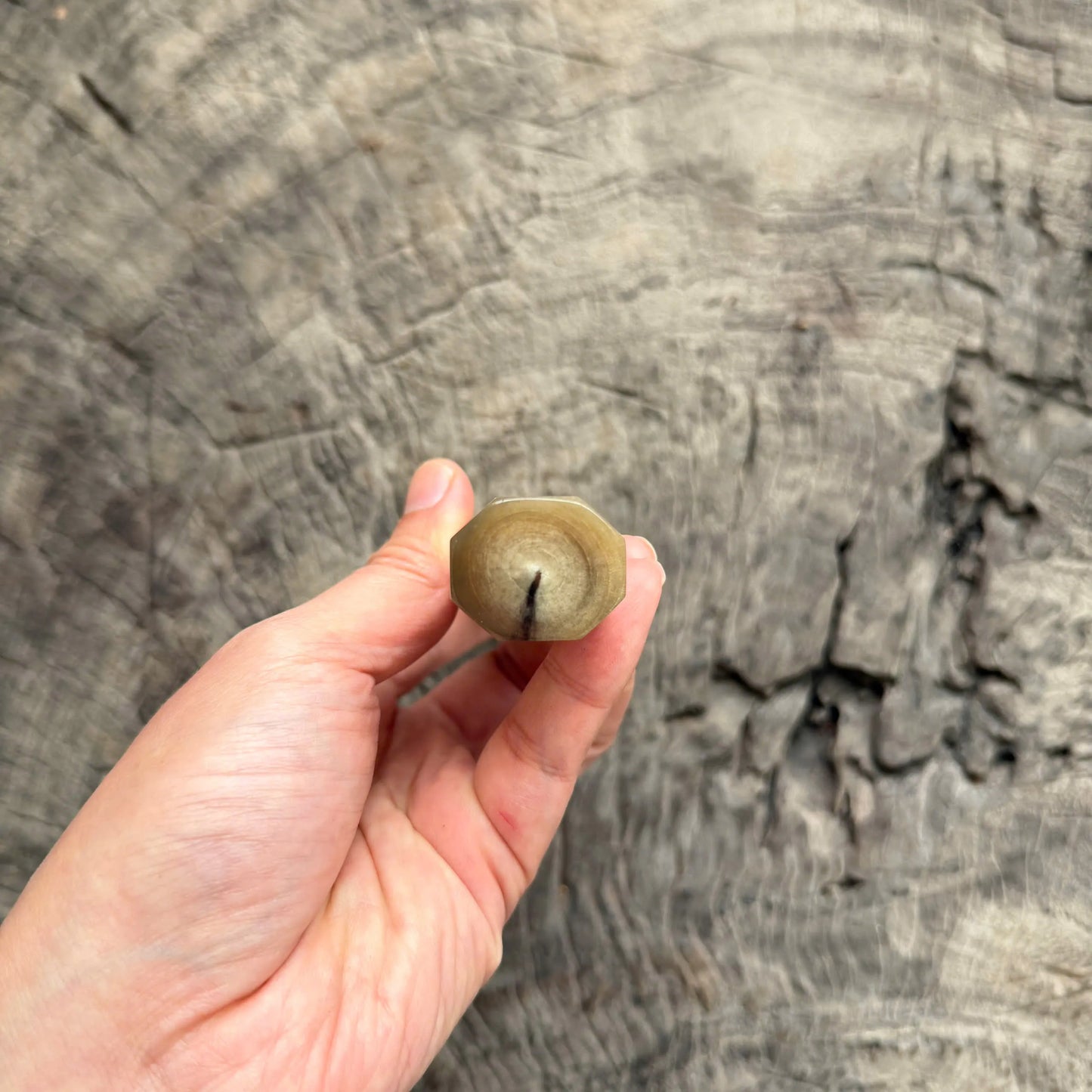 I - 6 Karelian birch Wa handle, Nice White Horn Ferrule and Endcap - 145 mm