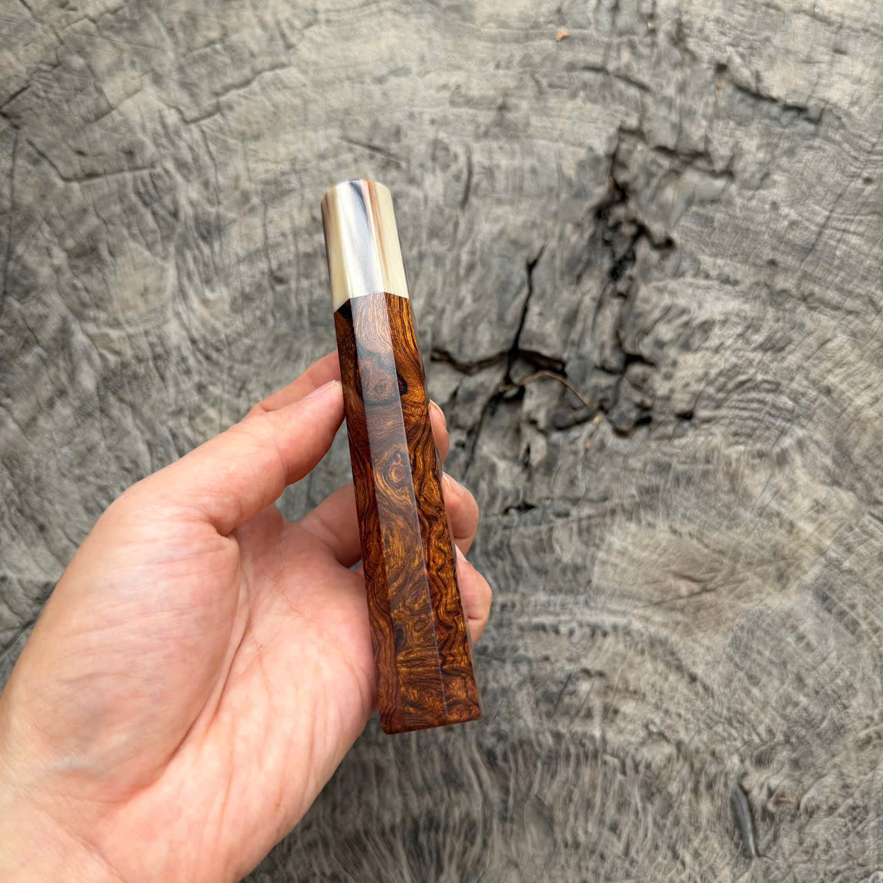 I - 2 Two tone Desert Ironwood Wa handle, Cool Horn Ferrule, 145 mm handle