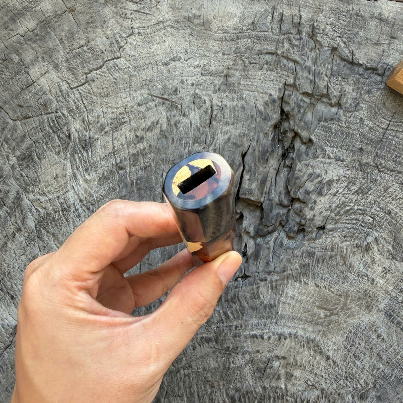 I - 2 Two tone Desert Ironwood burl, Cool Horn Ferrule, 140mm handle